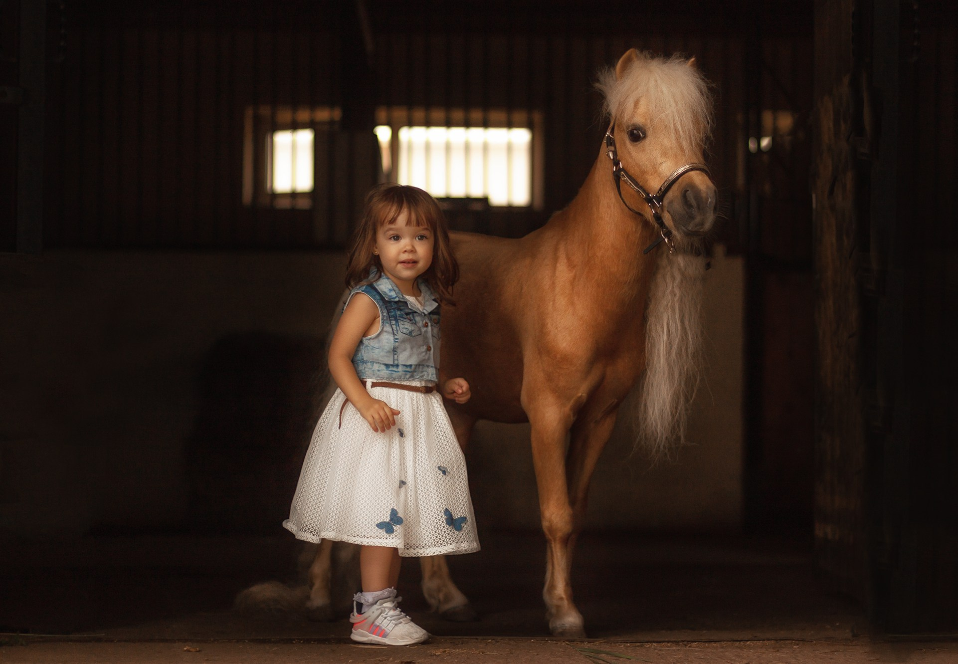 Фотосессии на лошадях в Москве и МО: конная фотосессия от фотографа Светланы Кутейниковой. Фотосессии с лошадьми в Москве от Конный фотографа Кутейниковой Светланы