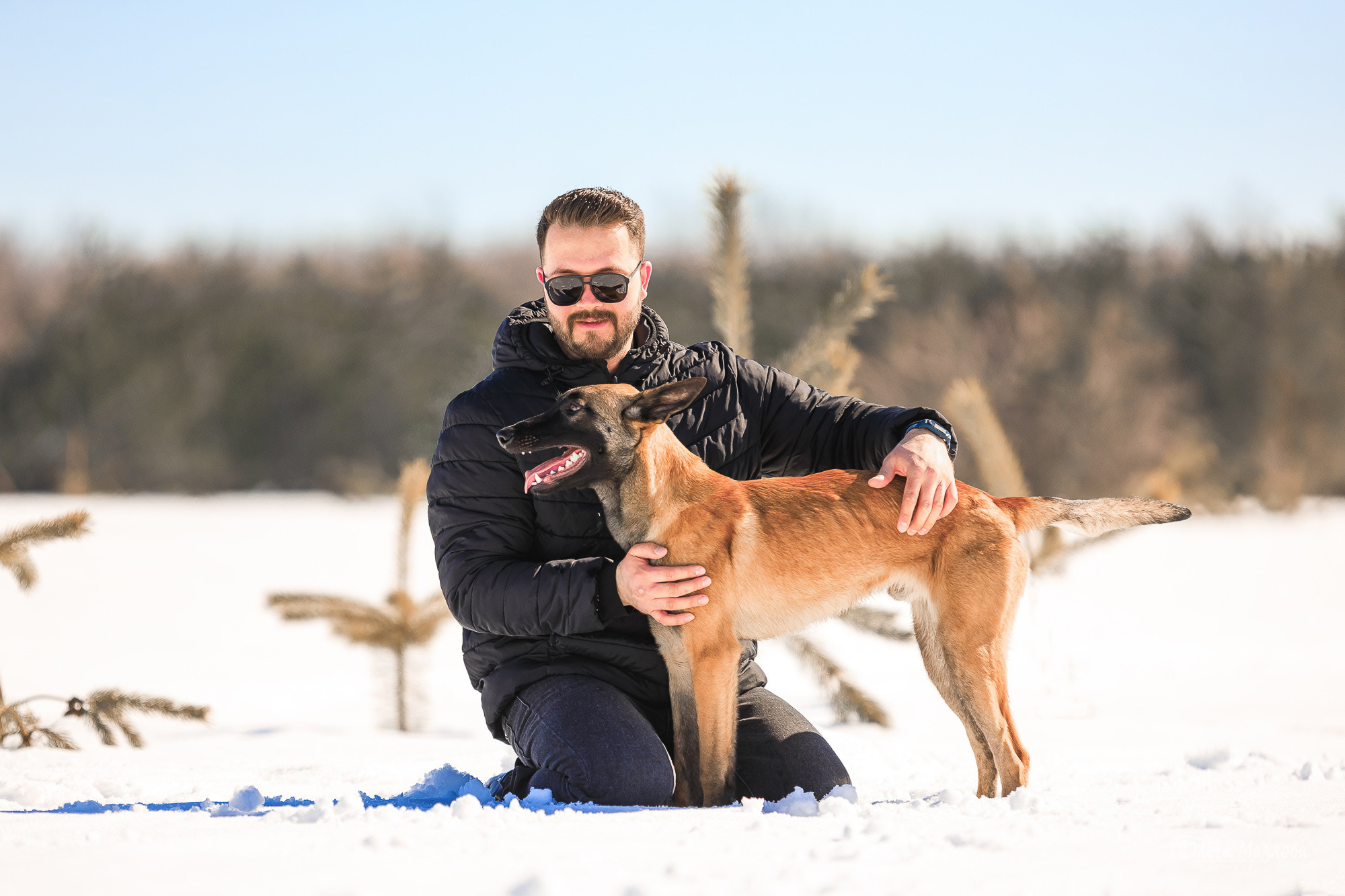 фотосъемка животных в Саратове