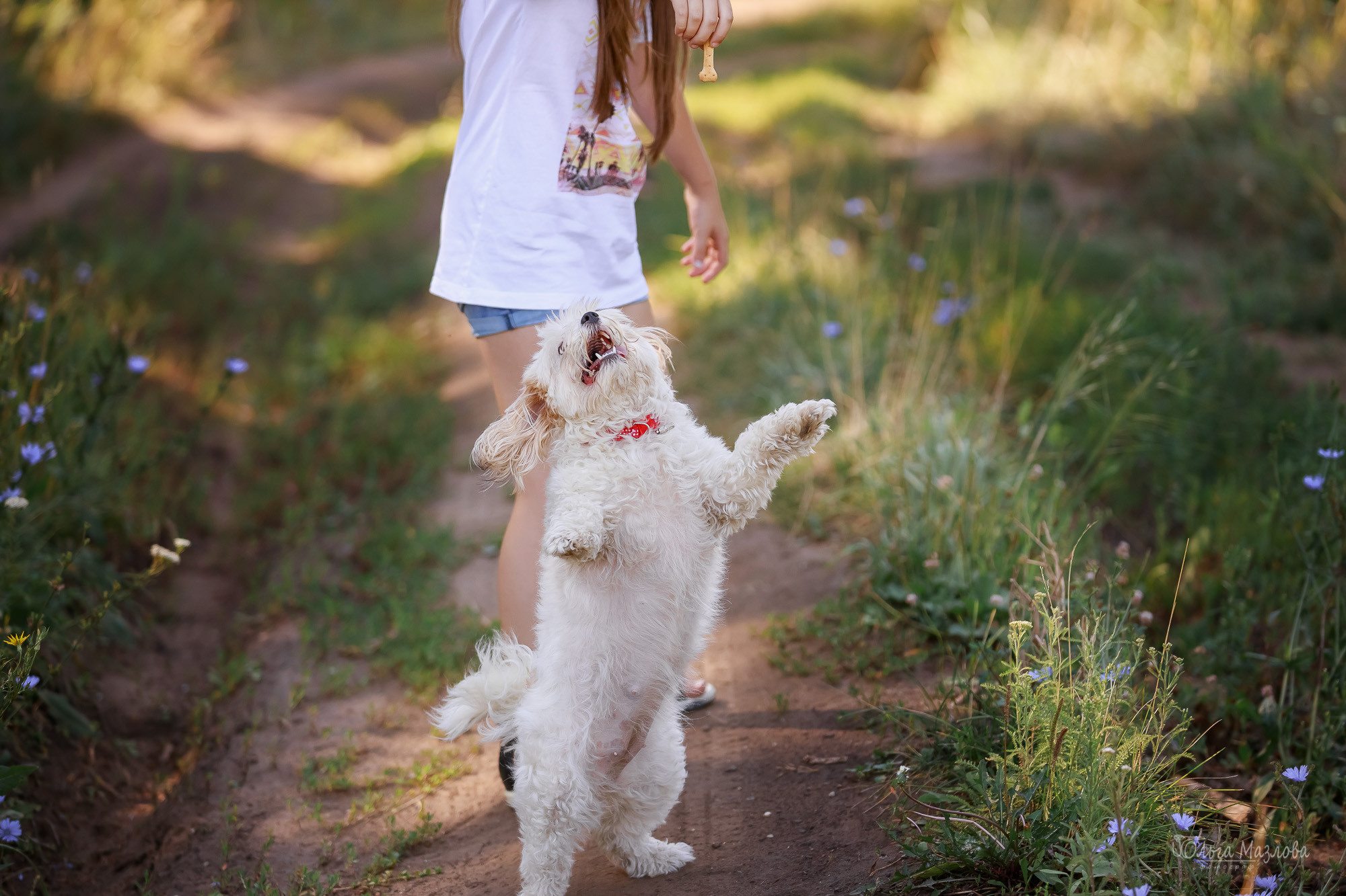 Семейная фотосессия в Саратове. Фотограф в Саратове Ольга Мазлова
