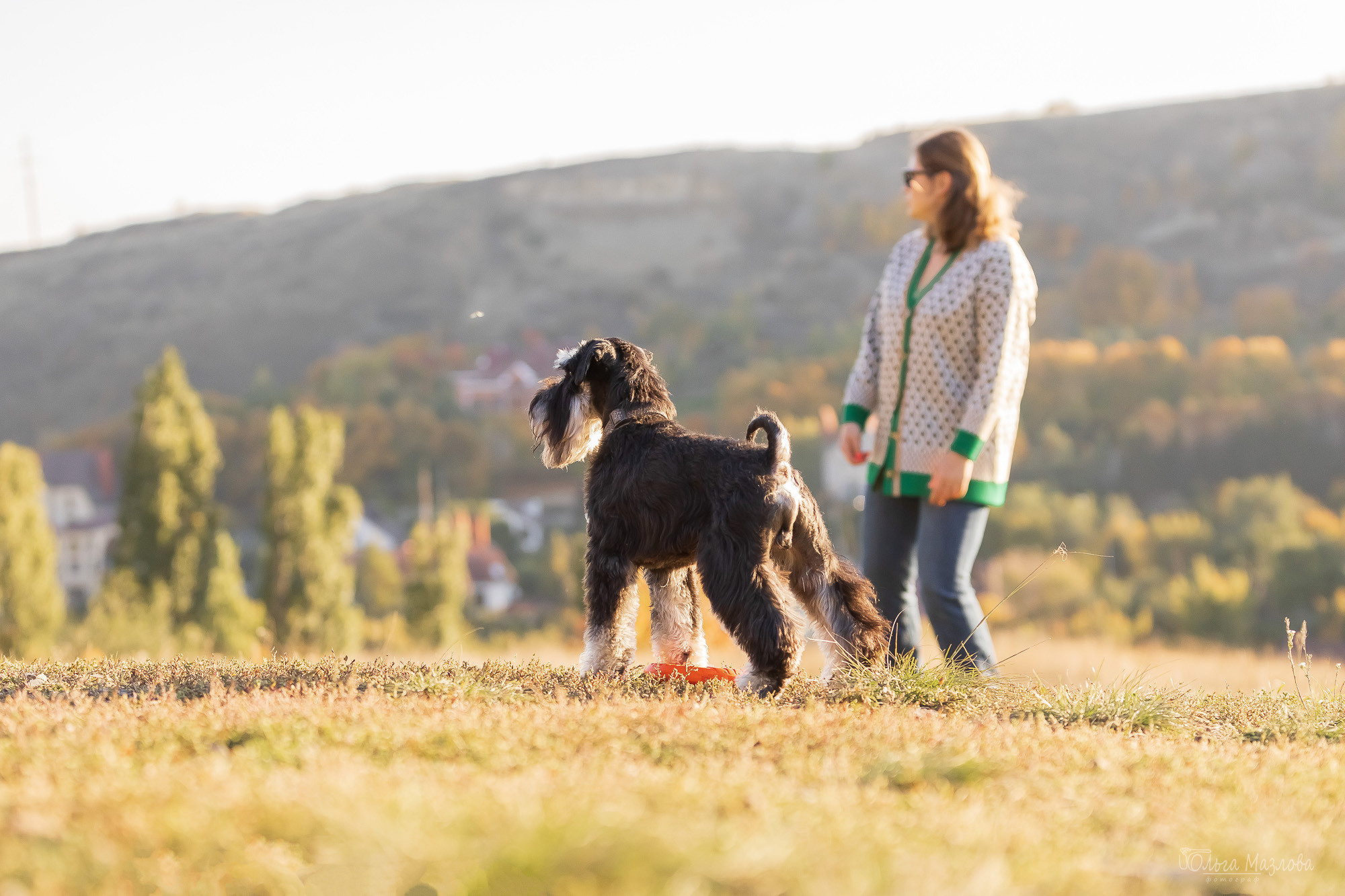 фотограф анималист в Саратове