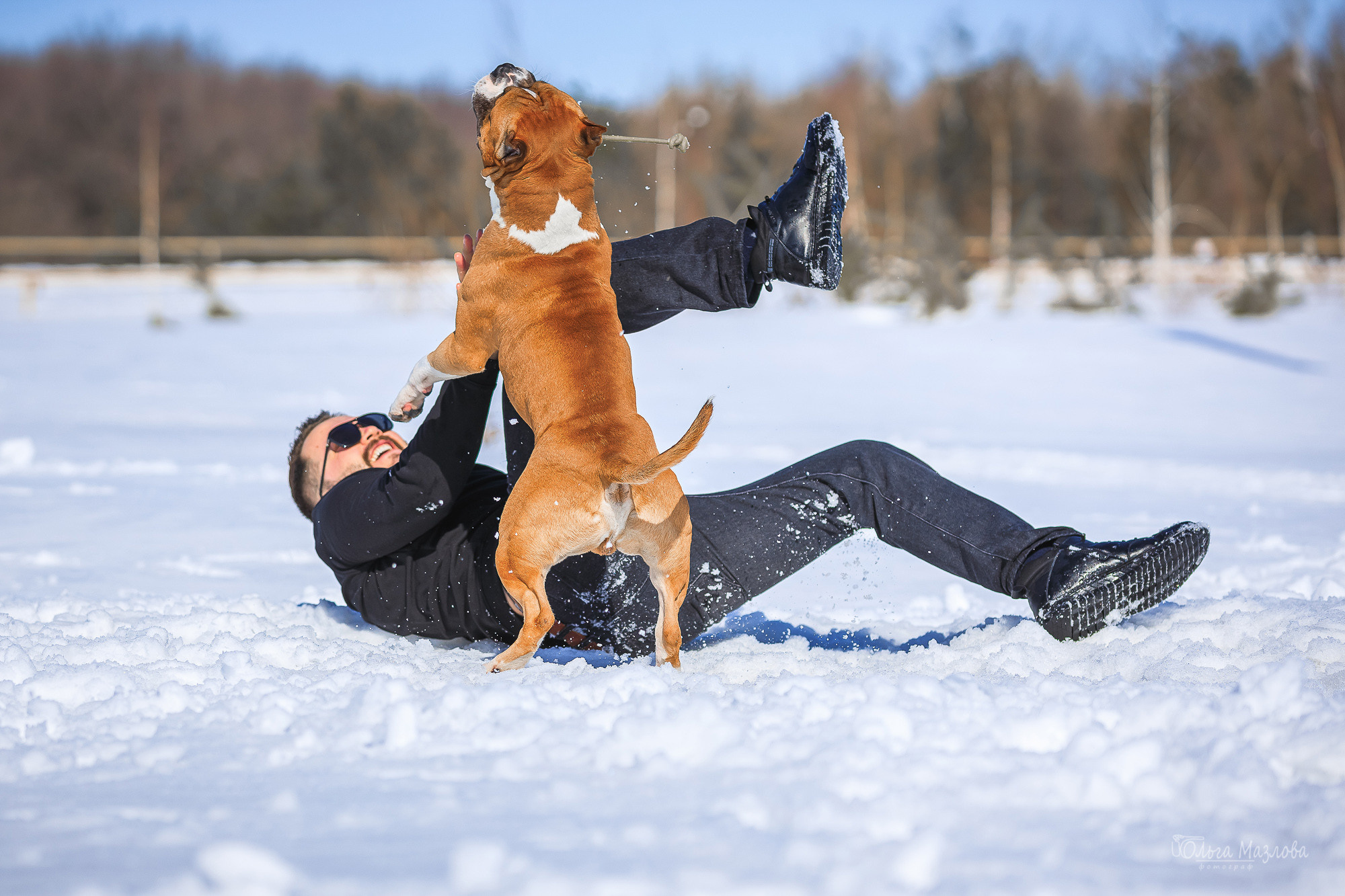анималист саратов