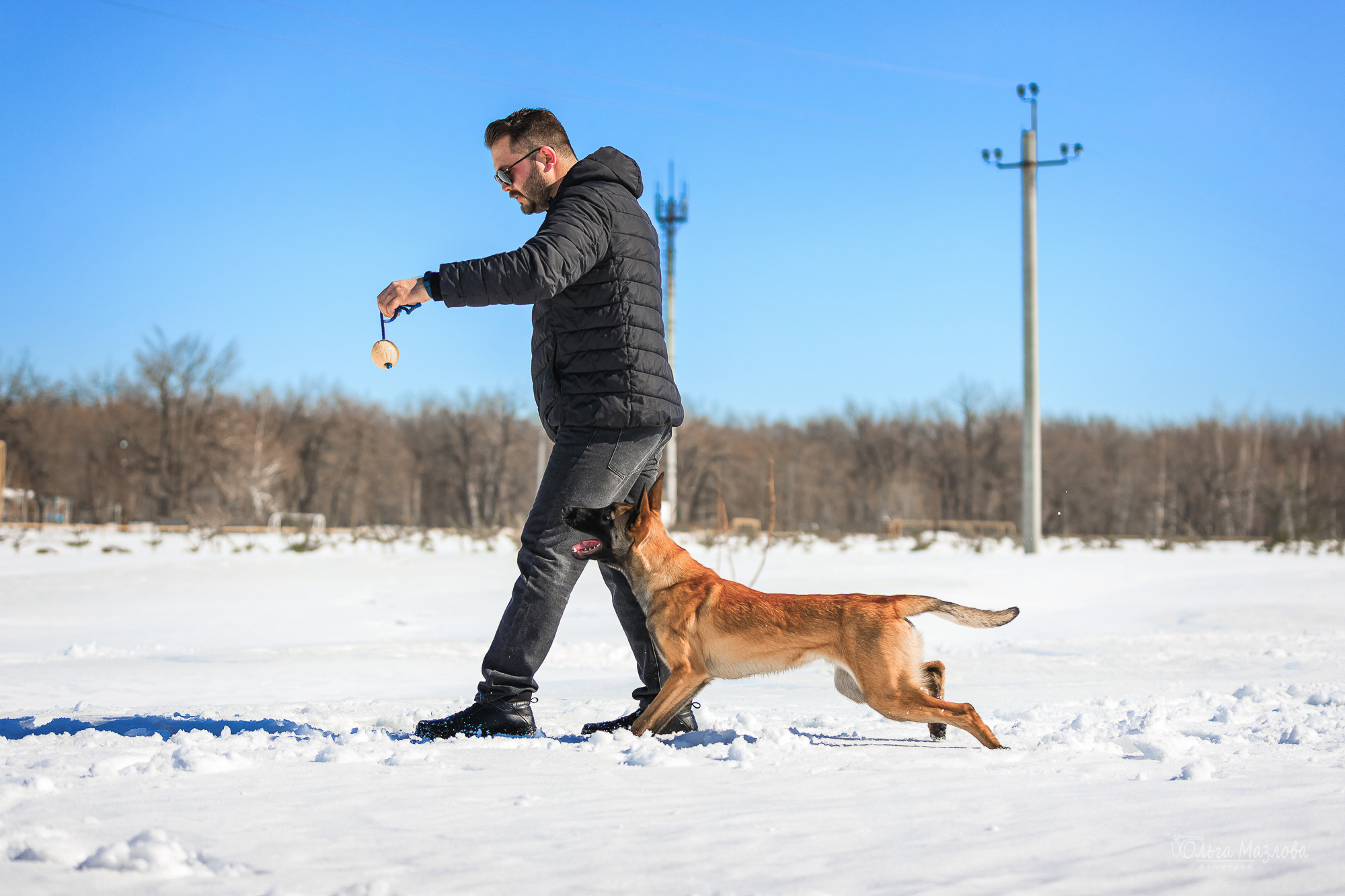 Нариман, Клаус и Дейл. Фотосъемка с животными в марте. Фотограф в Саратове Ольга Мазлова