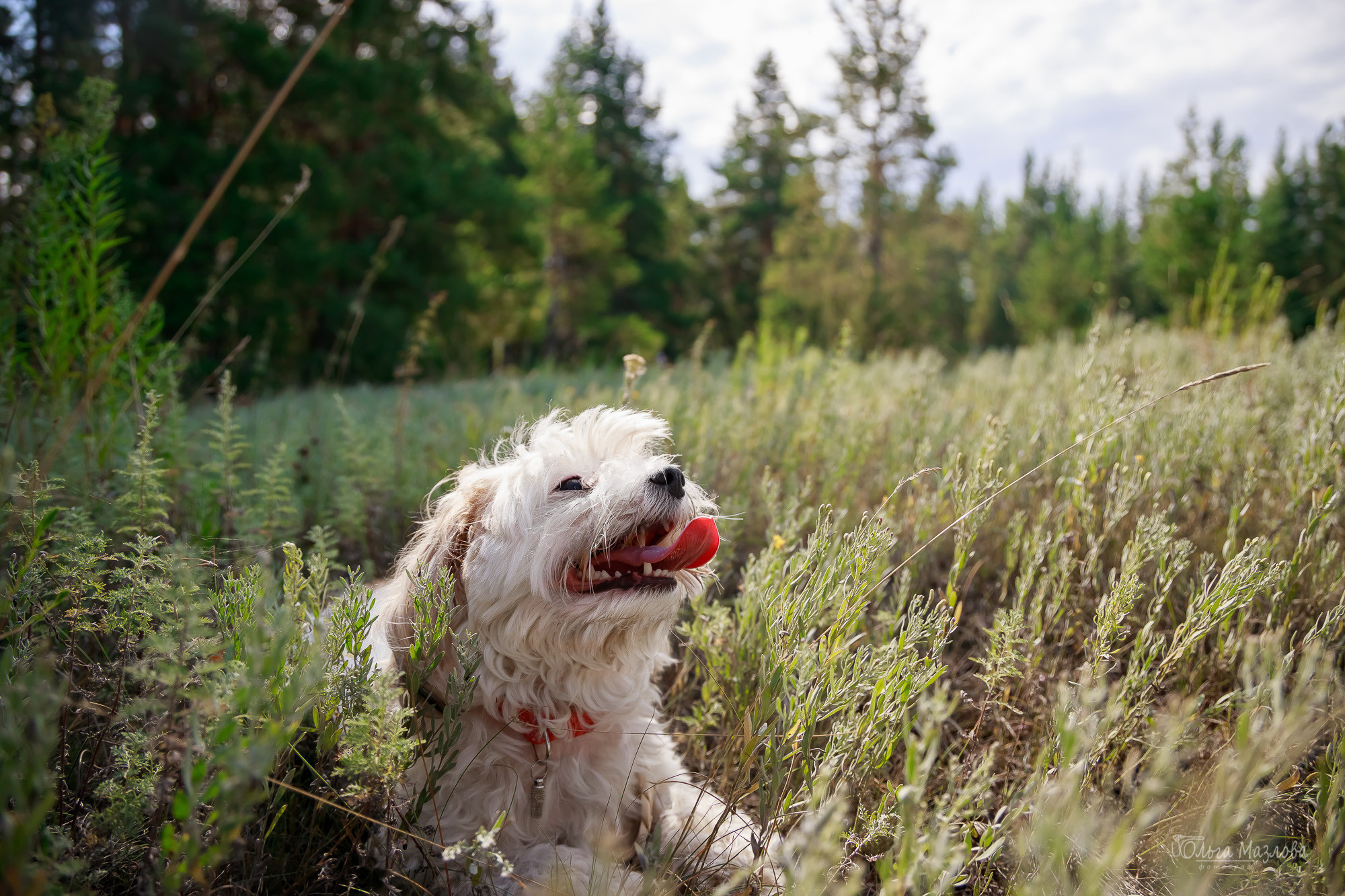 Семейная фотосессия в Саратове. Фотограф в Саратове Ольга Мазлова