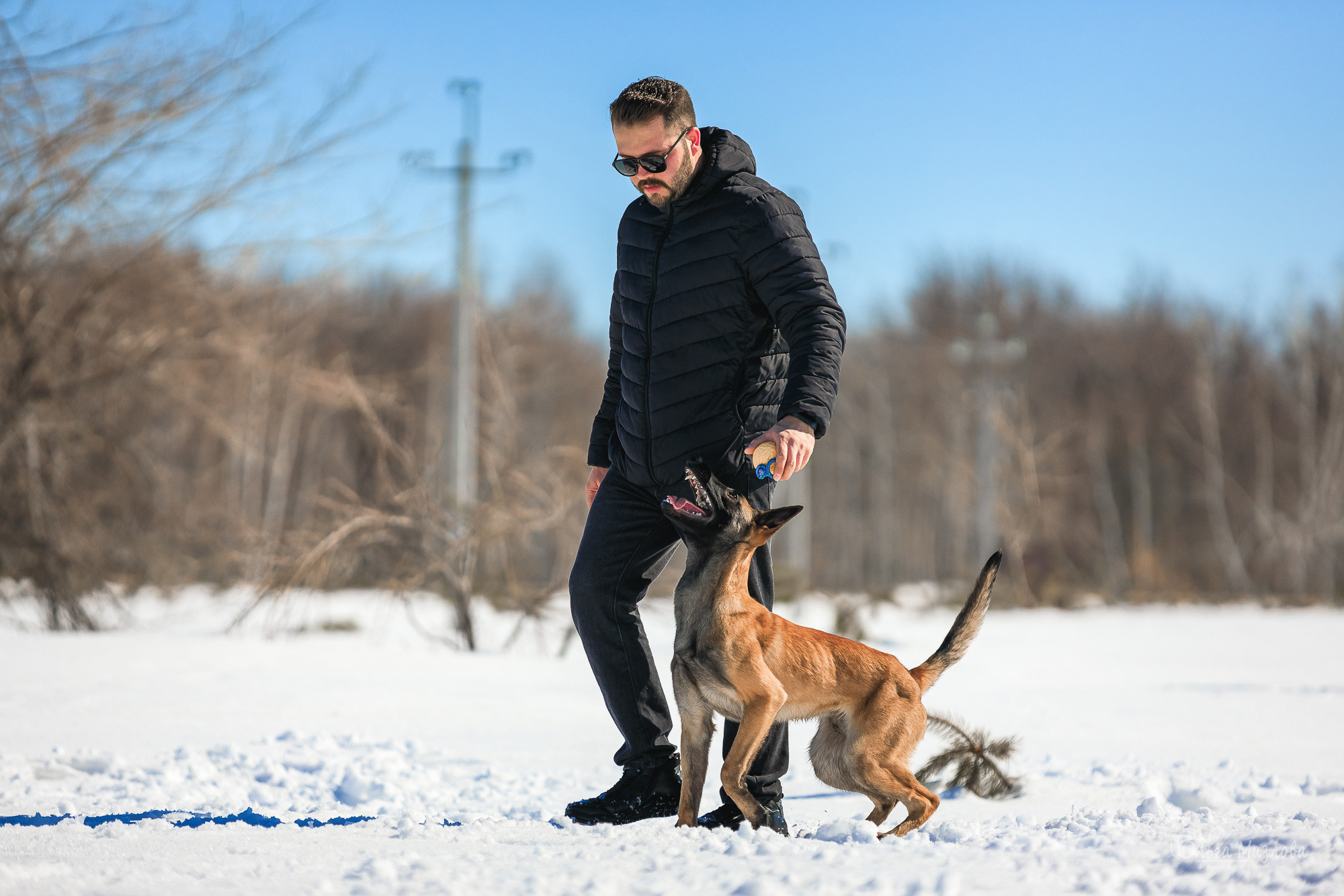 фотограф-анималист в Саратове