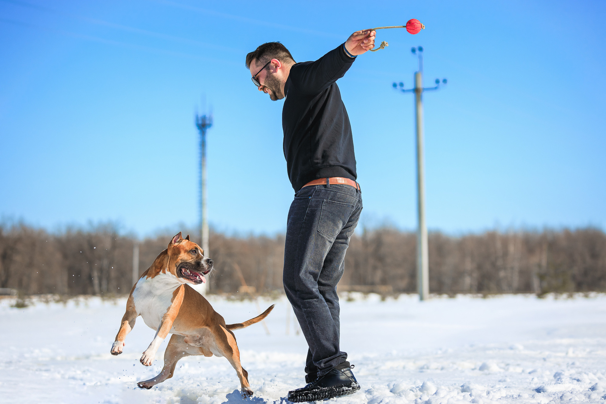 Нариман, Клаус и Дейл. Фотосъемка с животными в марте. Фотограф в Саратове Ольга Мазлова