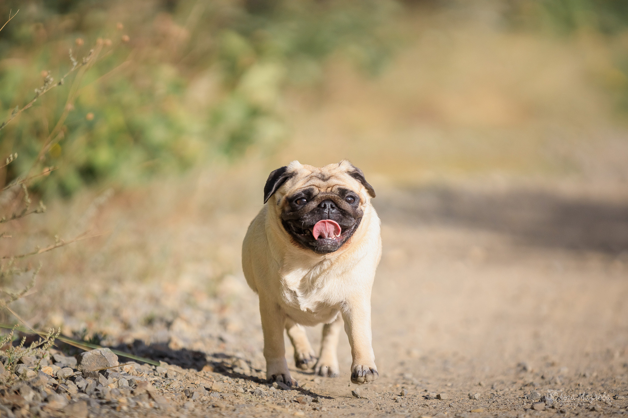 Фотосессия в Саратове. Фотограф в Саратове Ольга Мазлова