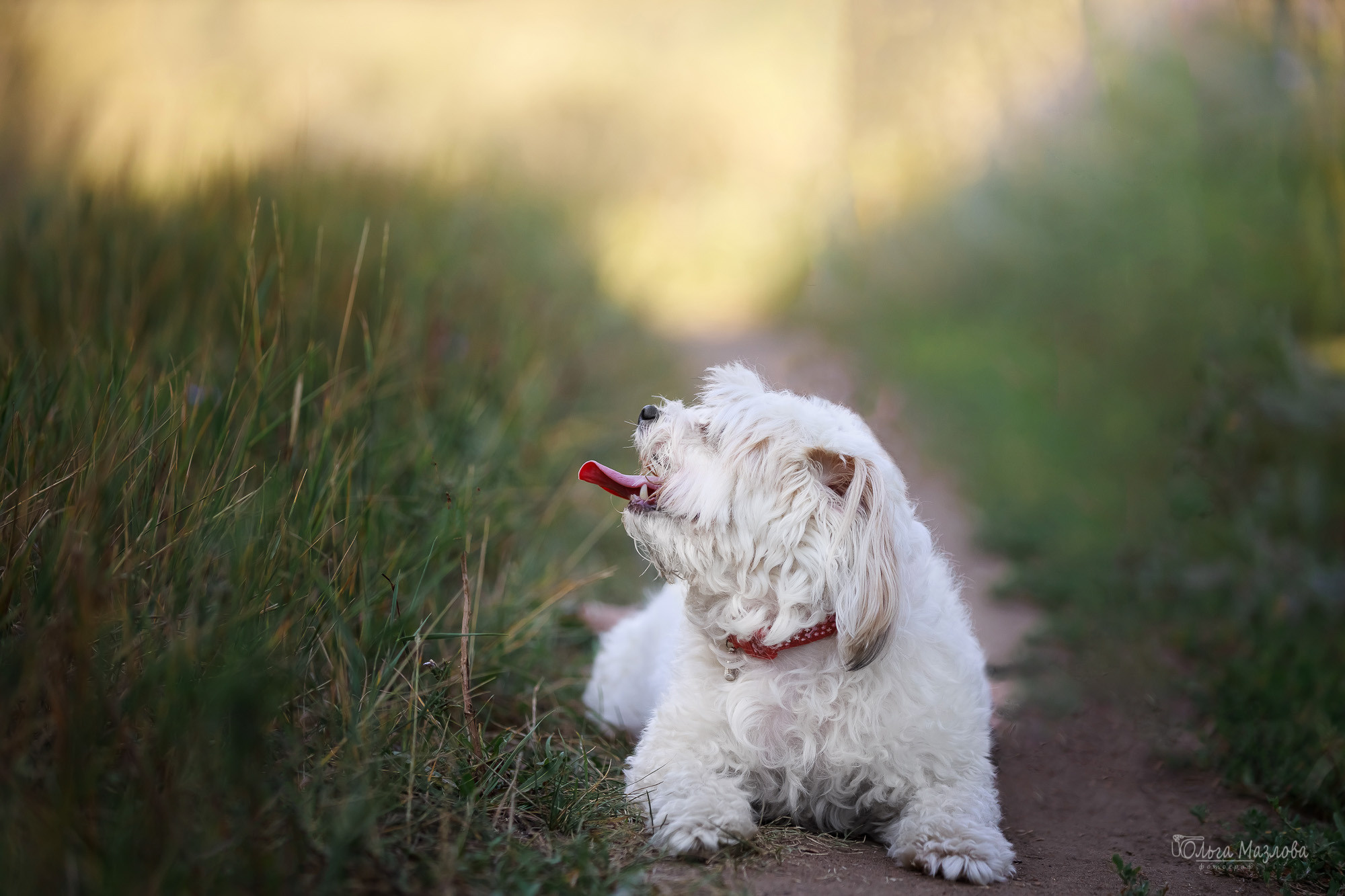 фотограф Саратов