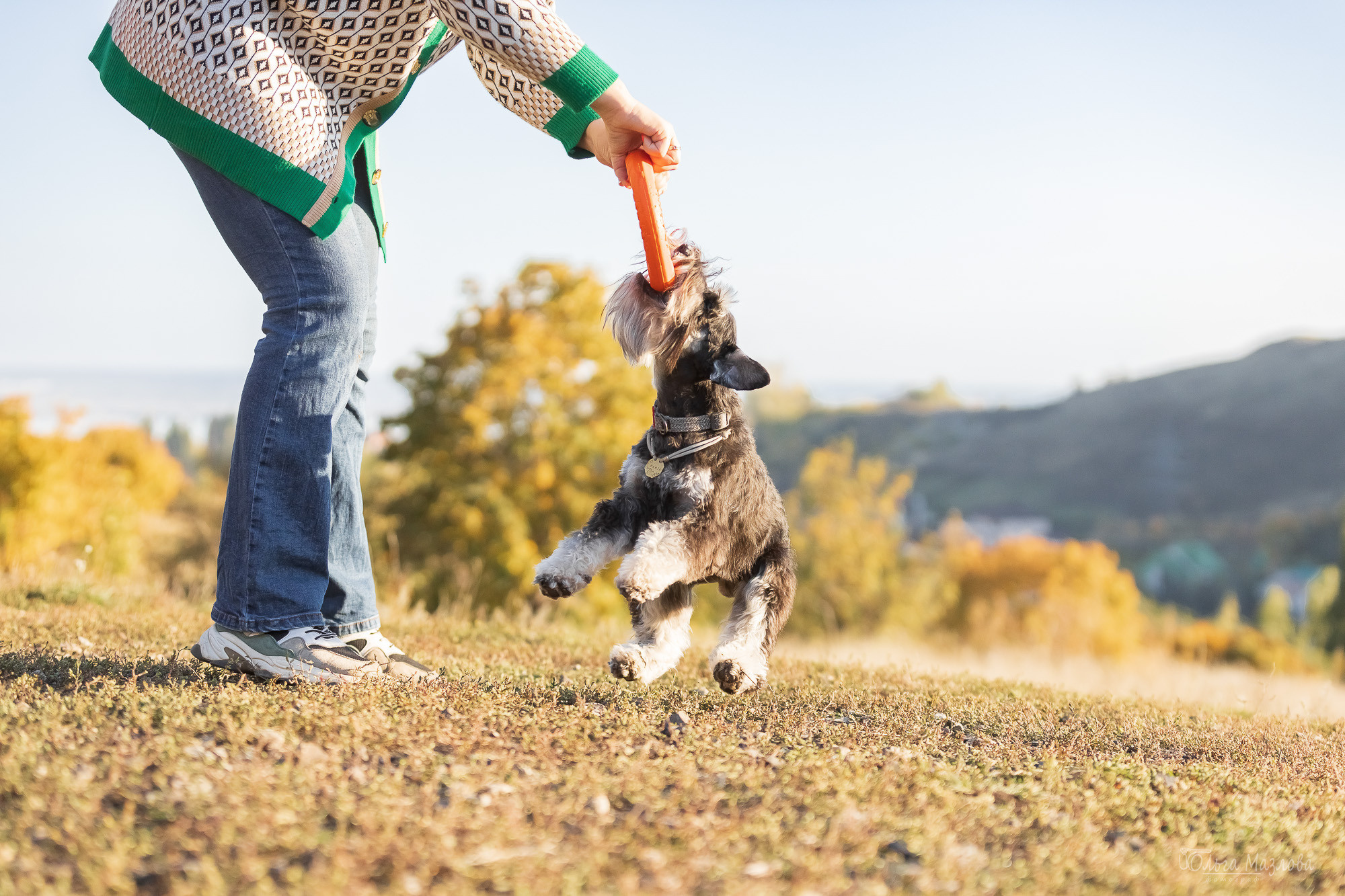 фотограф анималист в Саратове
