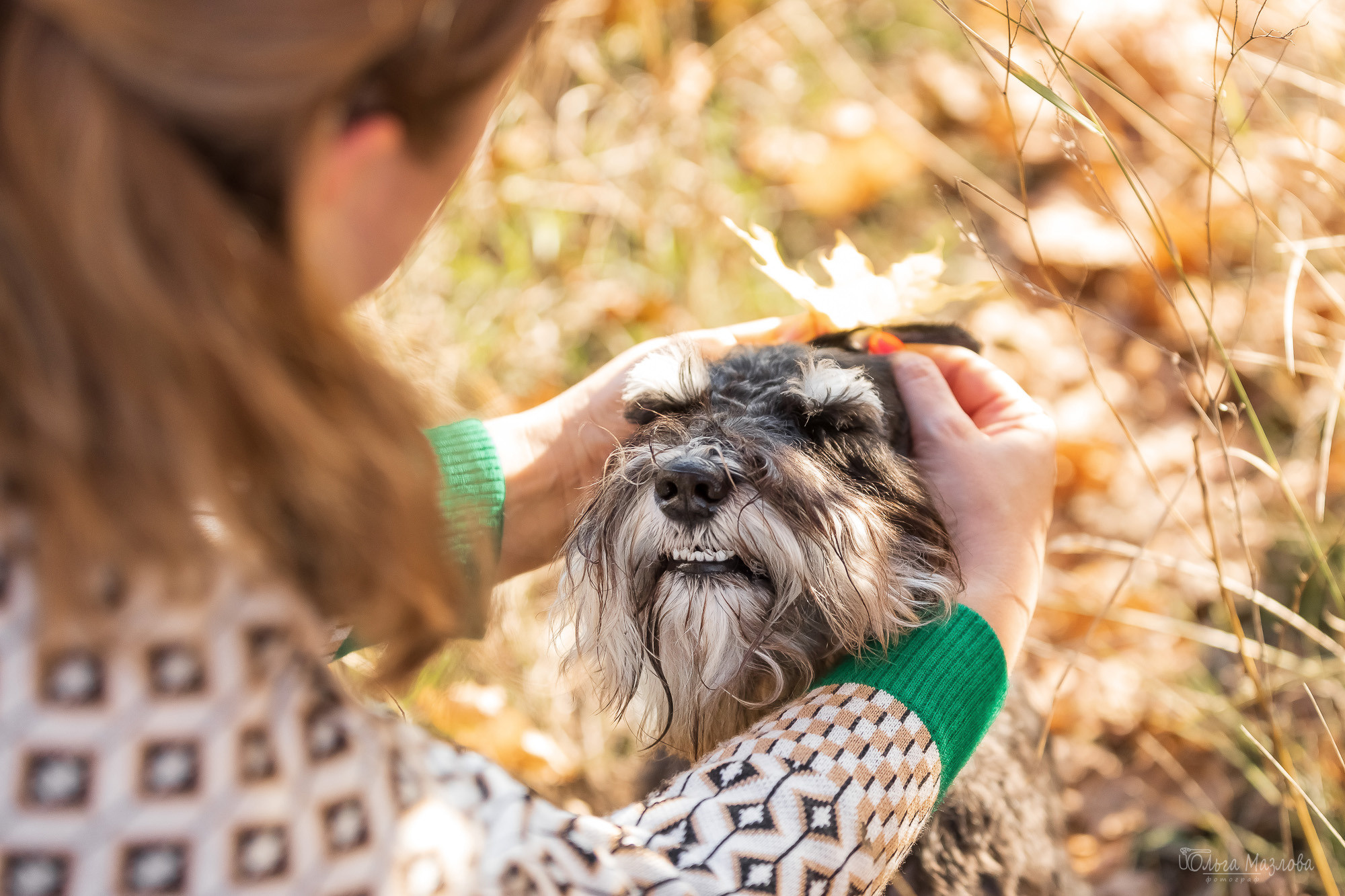 анималист Саратов