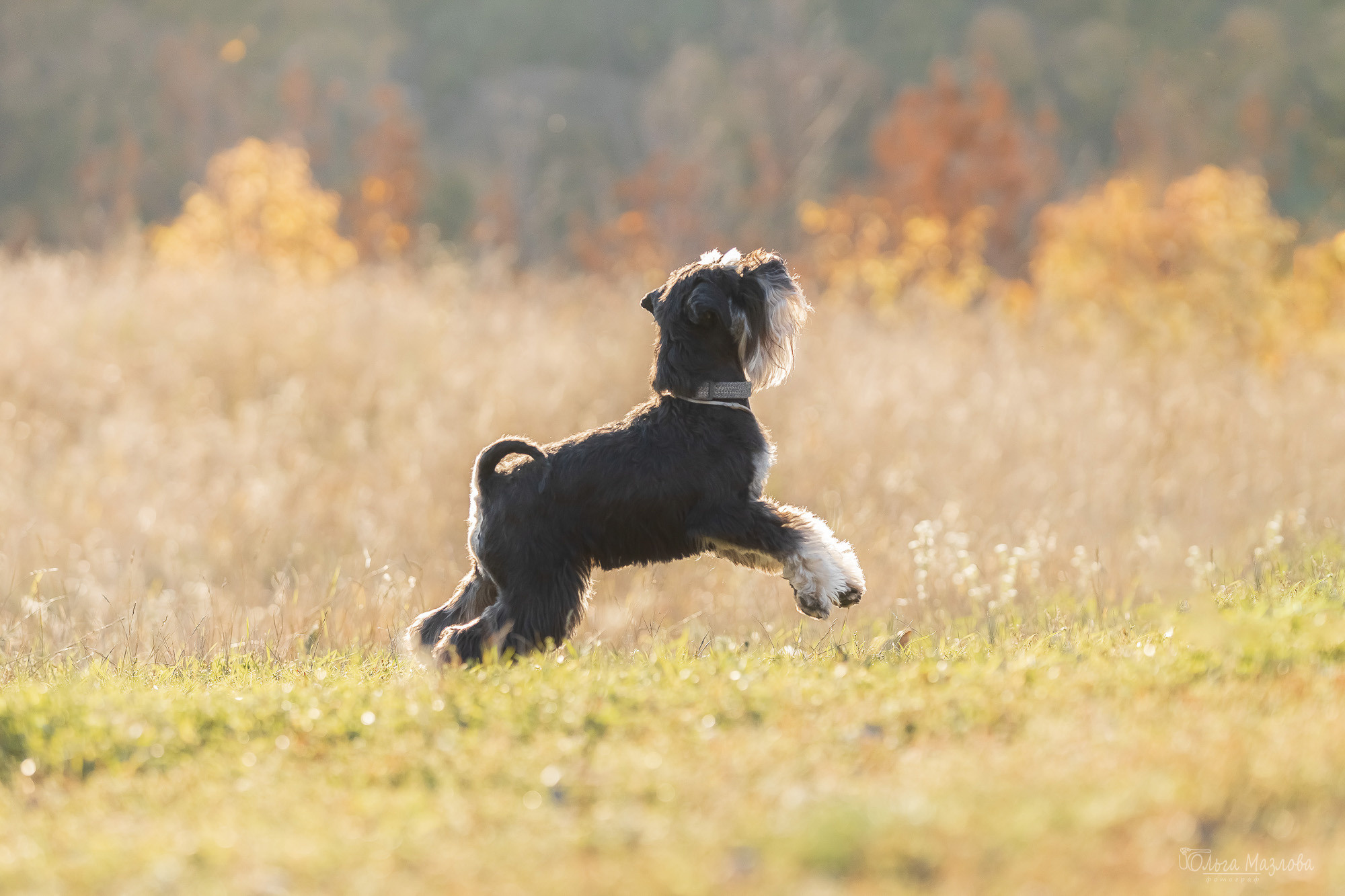фотограф Саратов