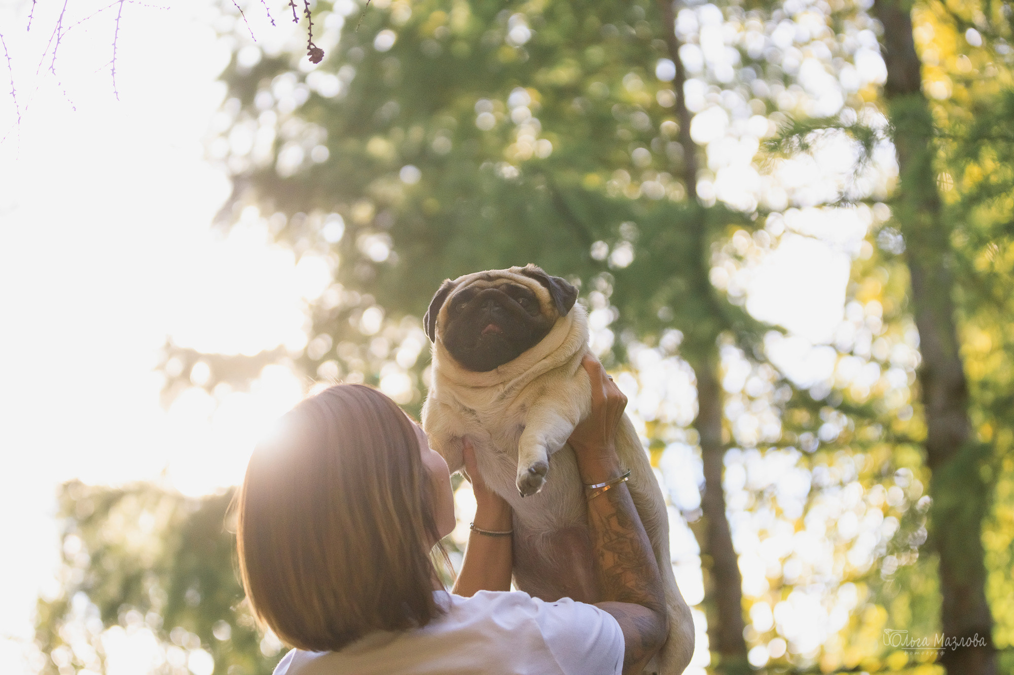 фотограф-анималист в Саратове