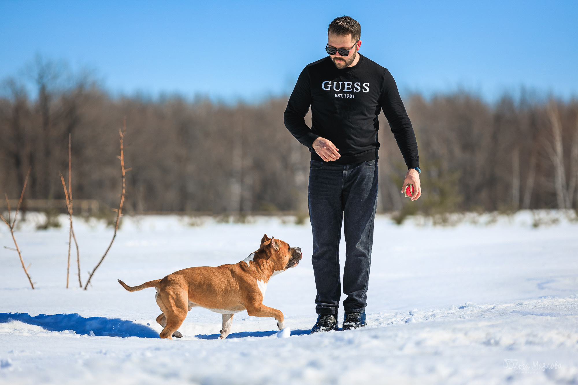 фотограф-анималист Саратов