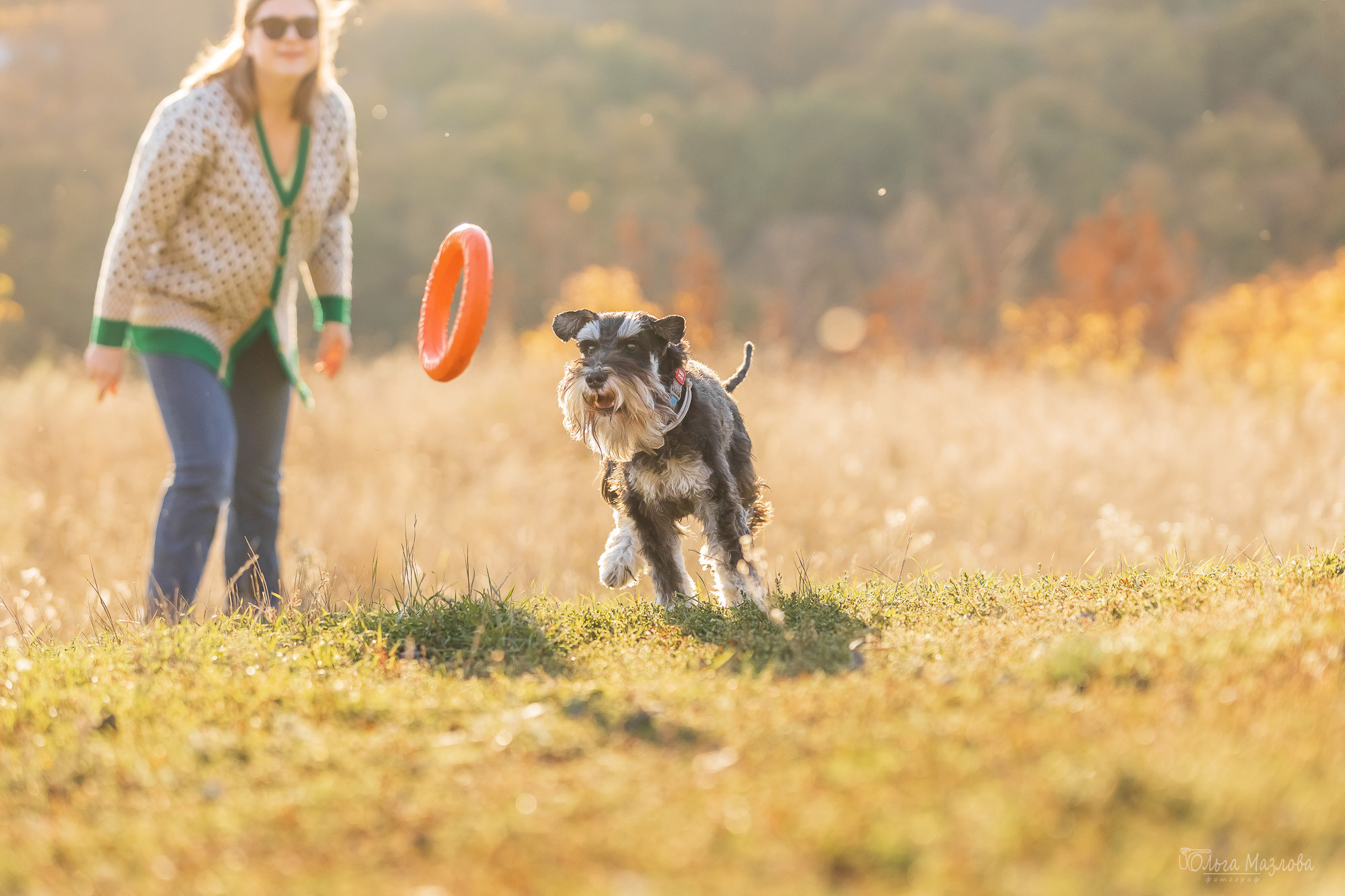 анималист Саратов