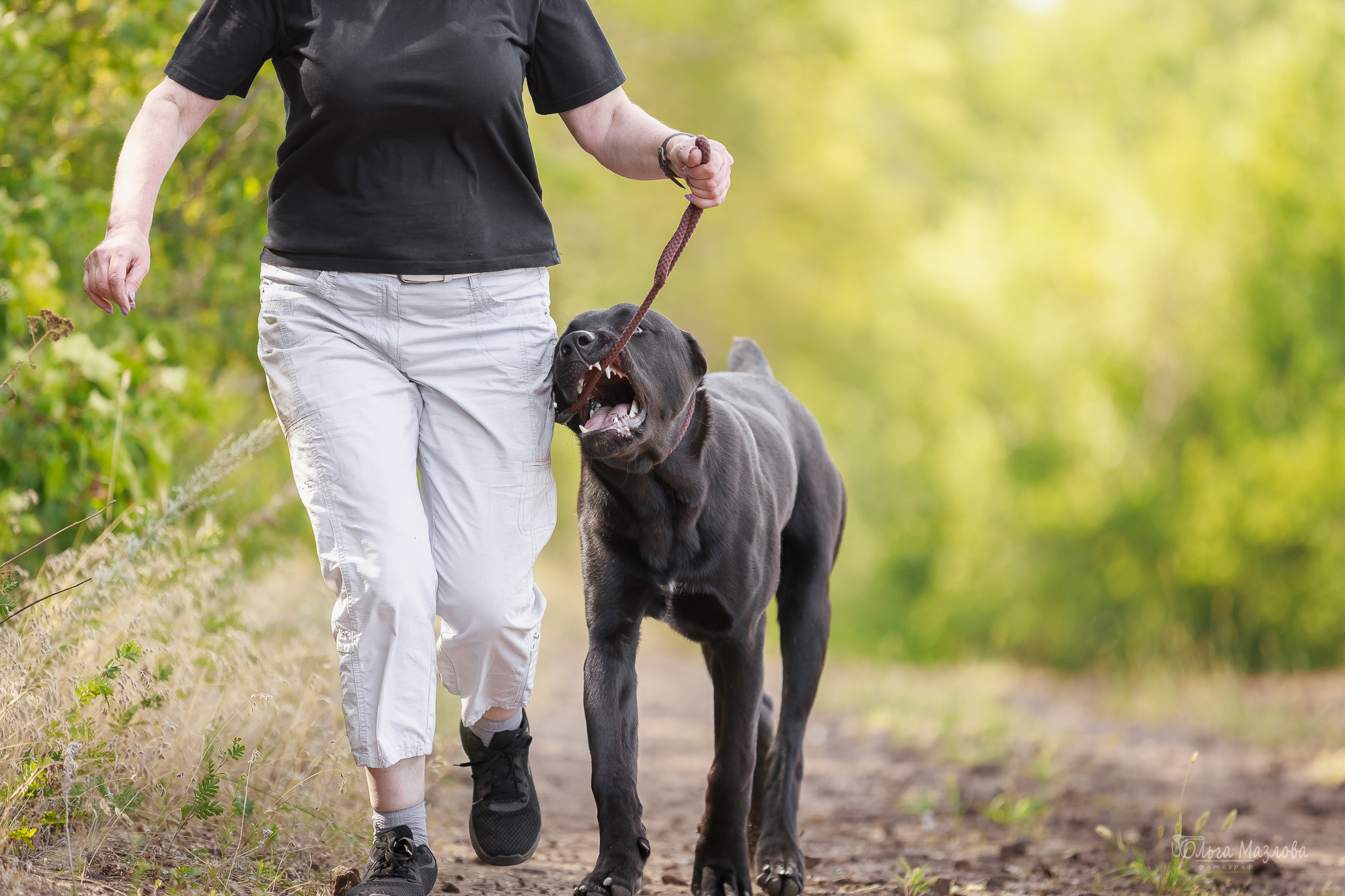 Фотосессия Азима и Евы. Фотограф в Саратове Ольга Мазлова