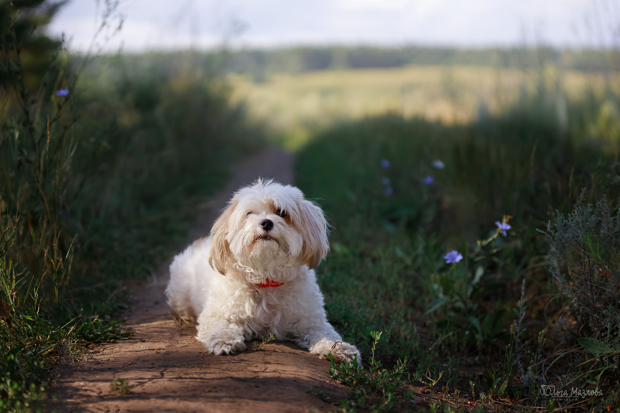 фотограф Саратов