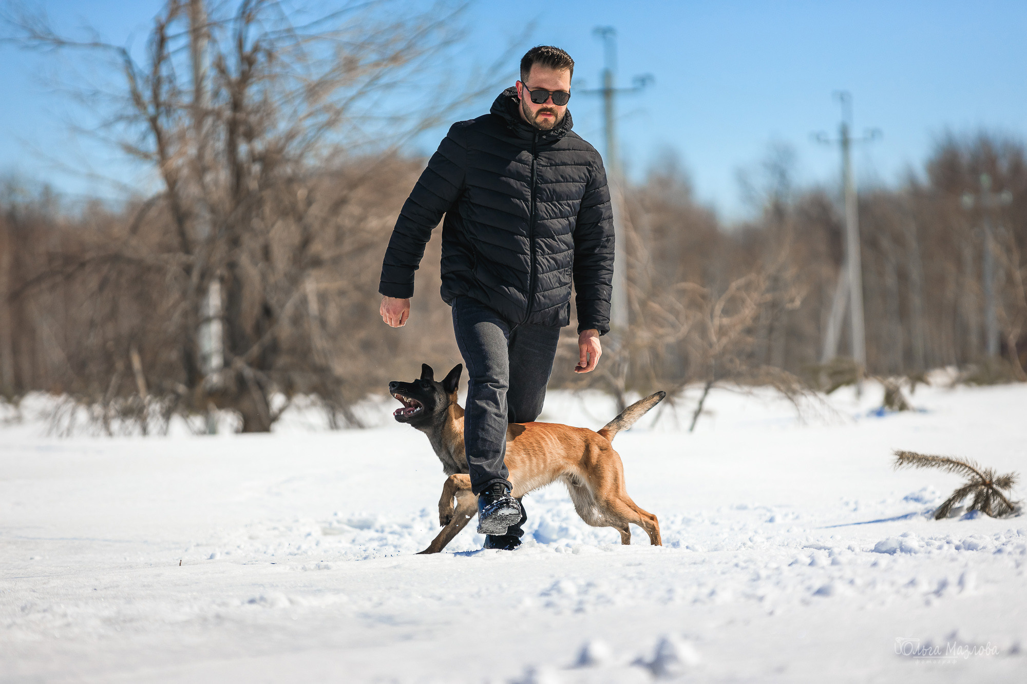 Нариман, Клаус и Дейл. Фотосъемка с животными в марте. Фотограф в Саратове Ольга Мазлова