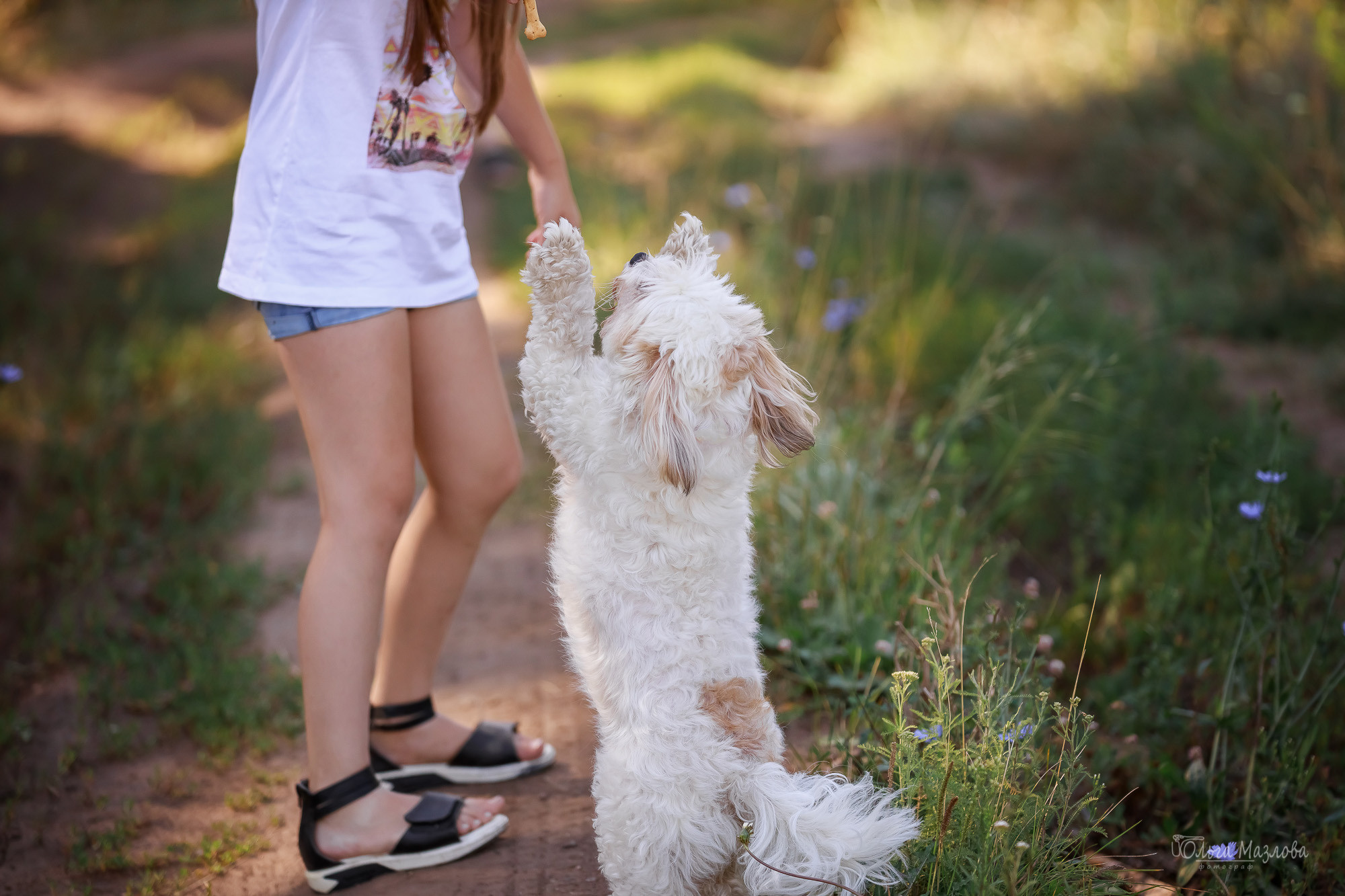 Семейная фотосессия в Саратове. Фотограф в Саратове Ольга Мазлова