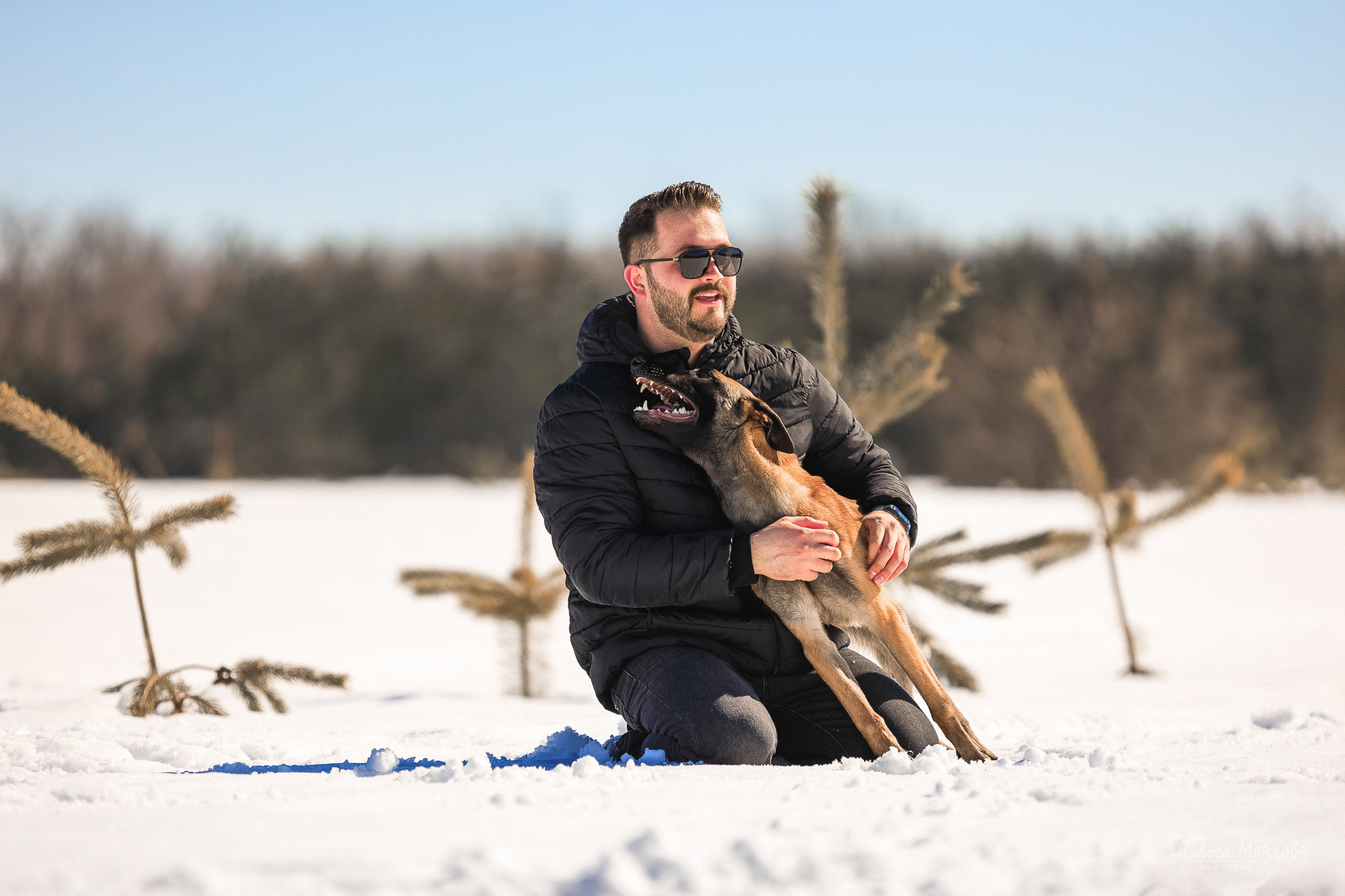 анималист саратов