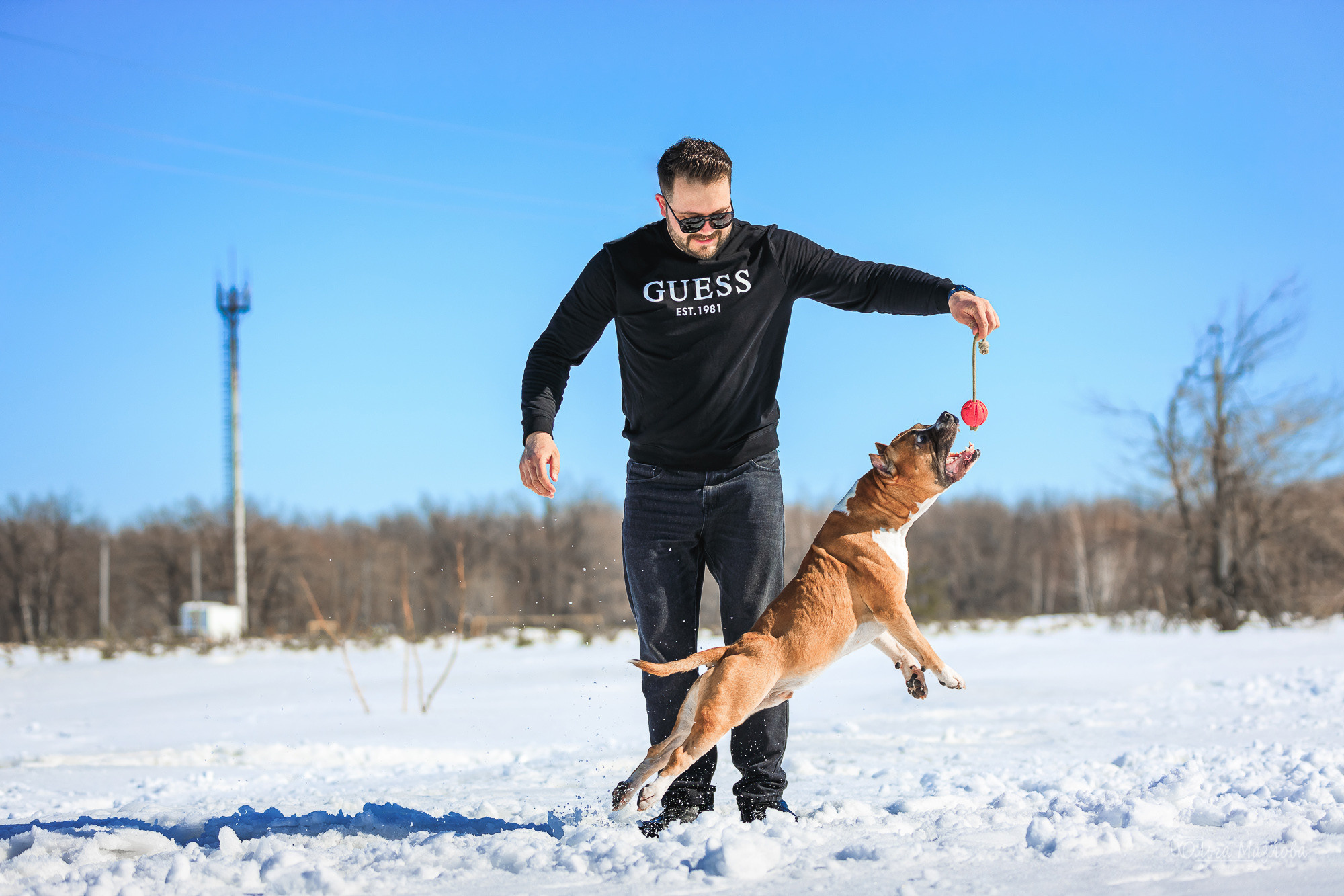 анималист саратов