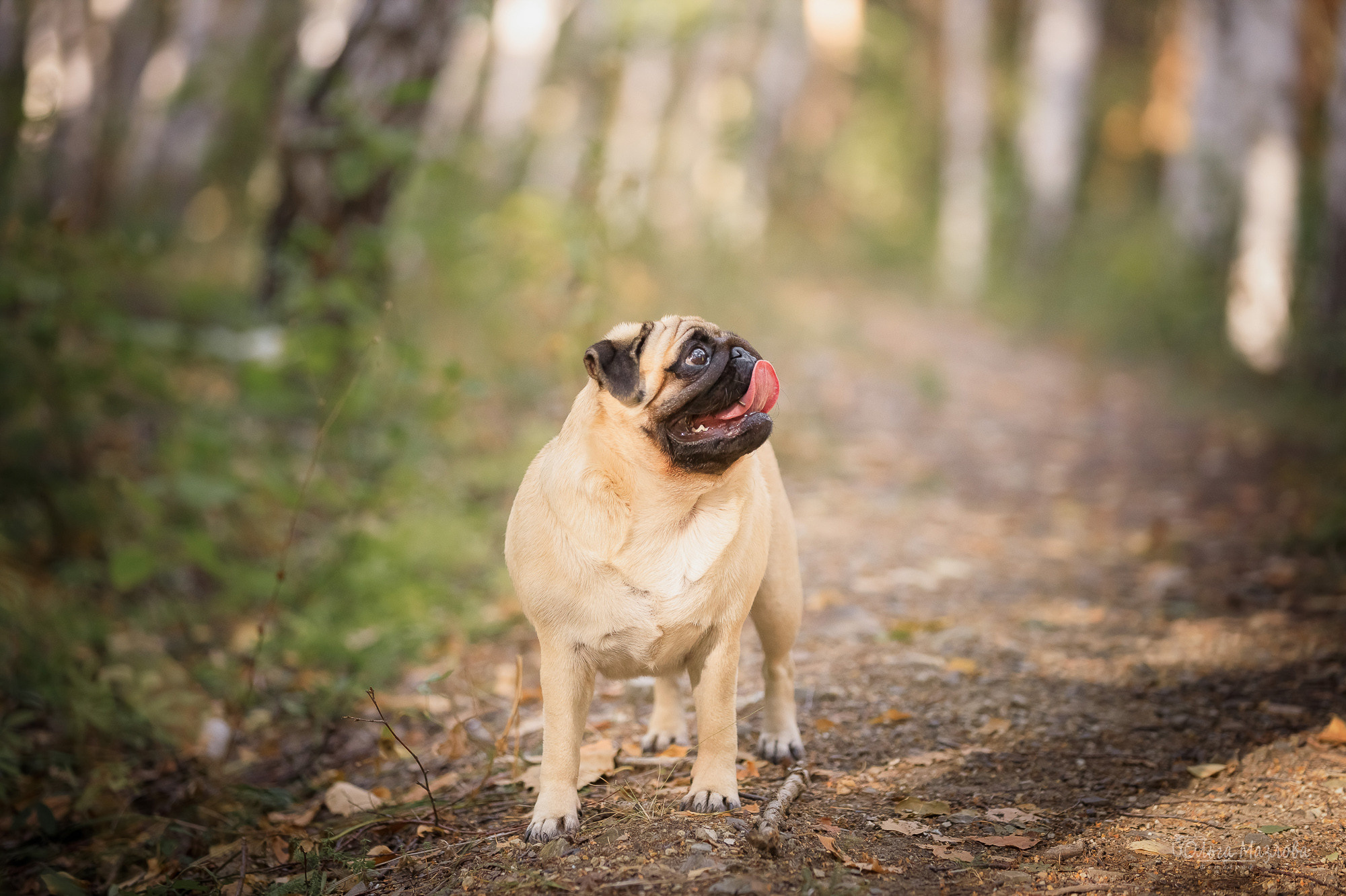 Фотосессия в Саратове. Фотограф в Саратове Ольга Мазлова