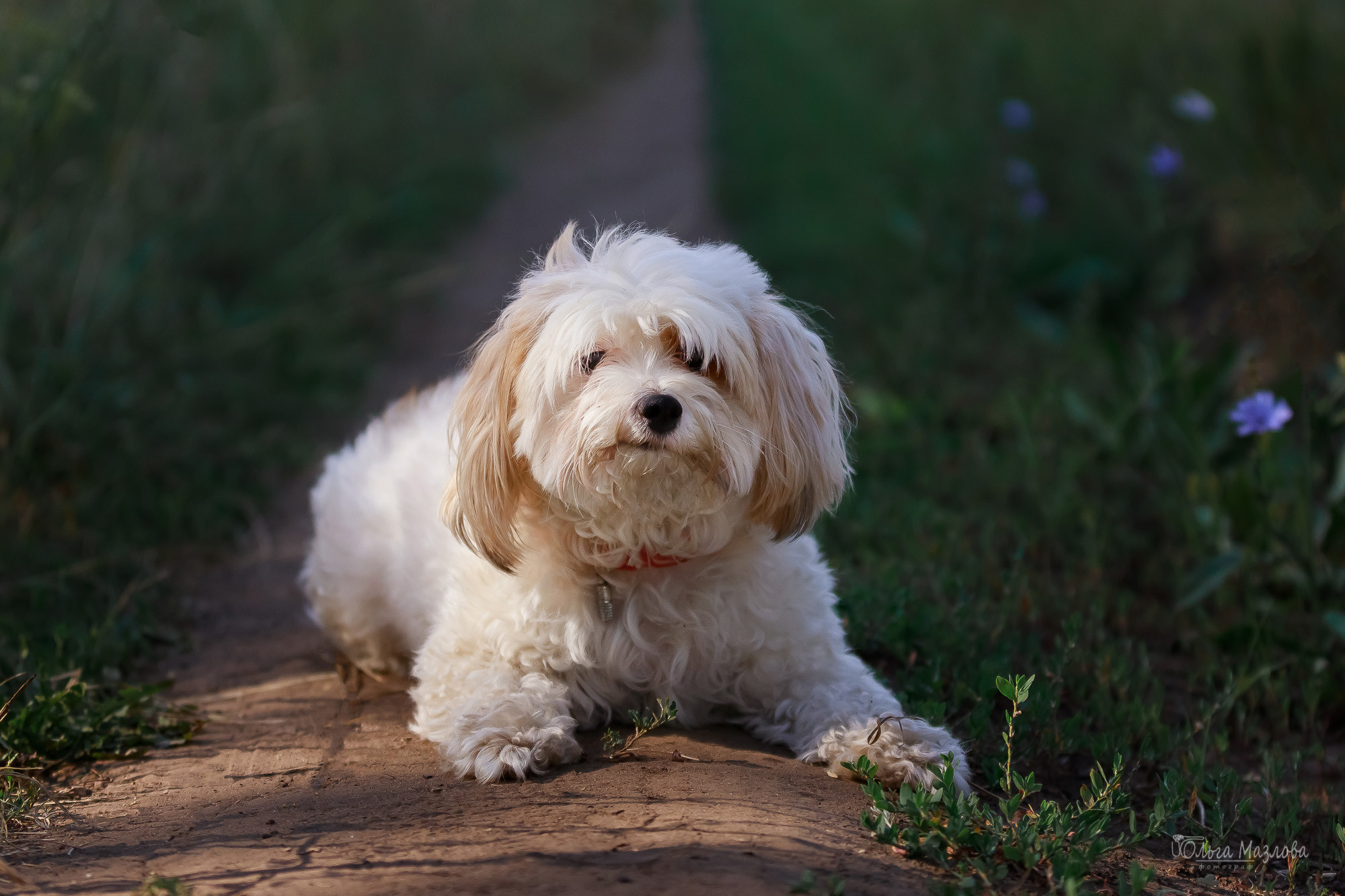 Семейная фотосессия в Саратове. Фотограф в Саратове Ольга Мазлова