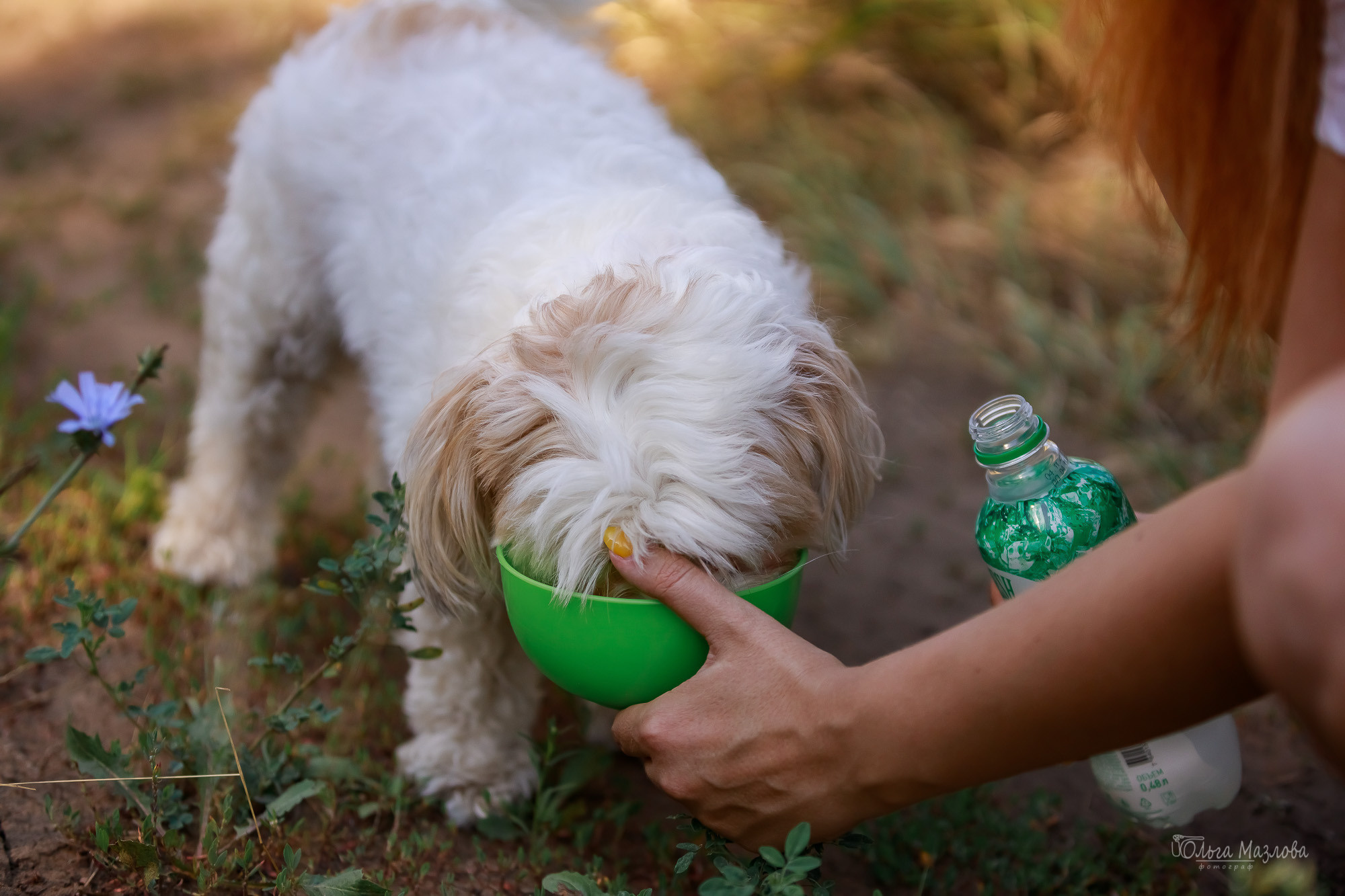 Семейная фотосессия в Саратове. Фотограф в Саратове Ольга Мазлова