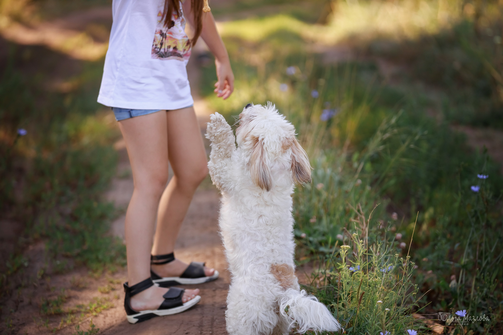 Семейная фотосессия в Саратове. Фотограф в Саратове Ольга Мазлова