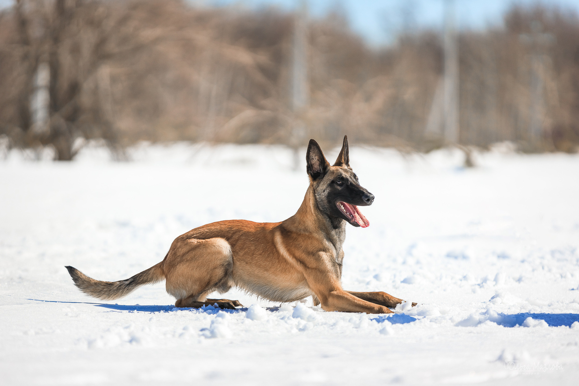 фотограф в Саратове