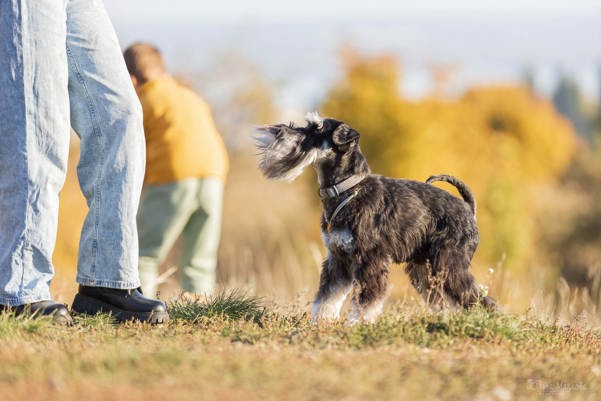 фотограф Саратов