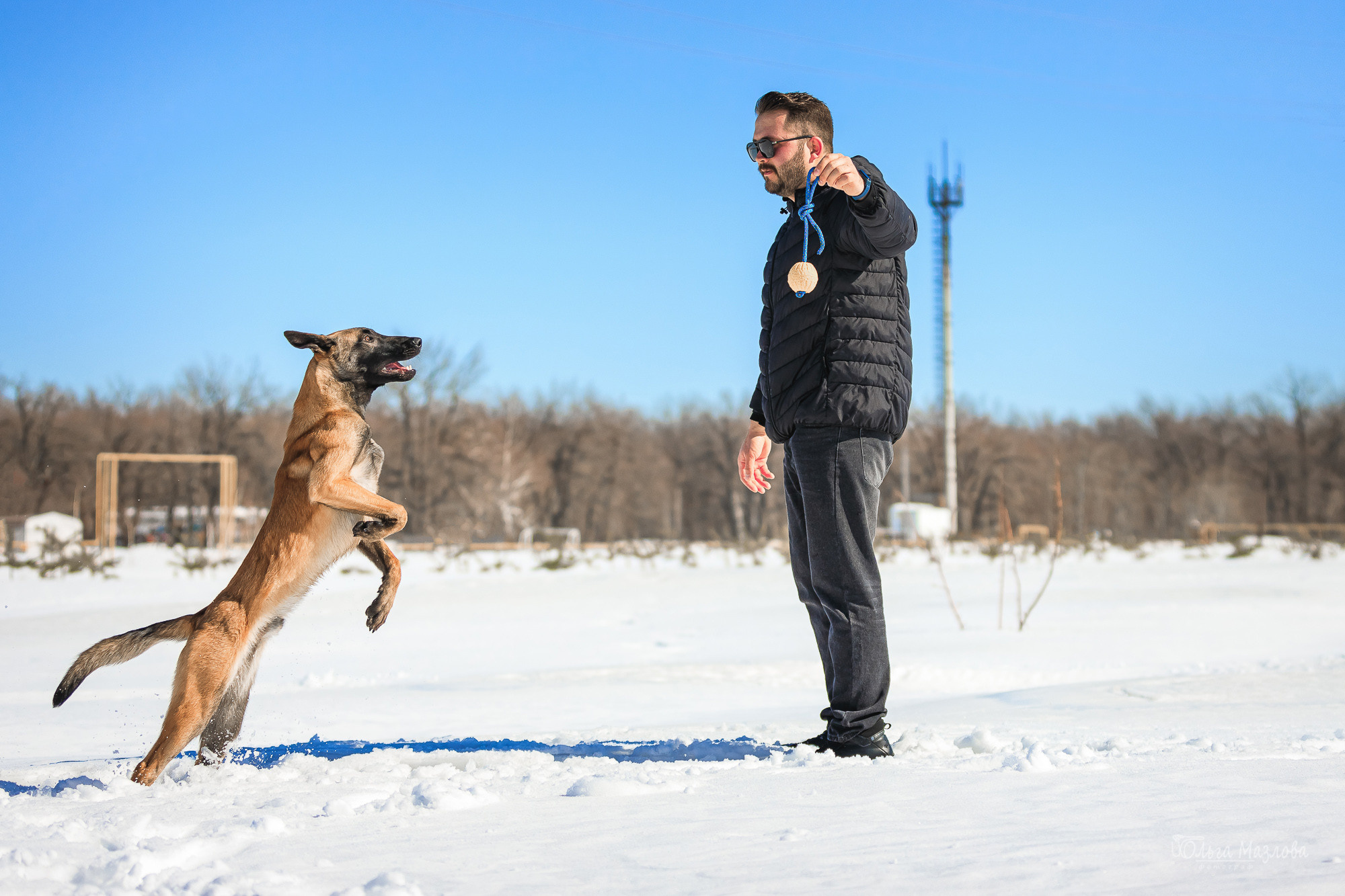 фотосъемка животных в Саратове
