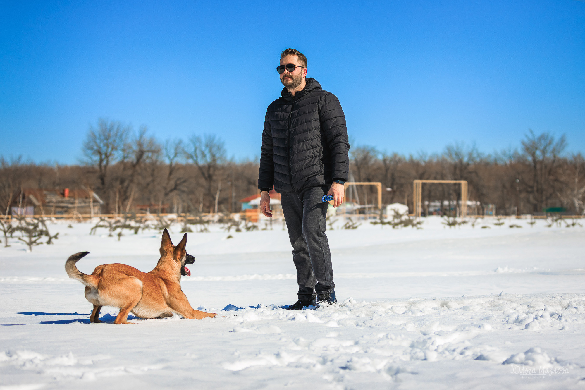 фотограф-анималист Саратов