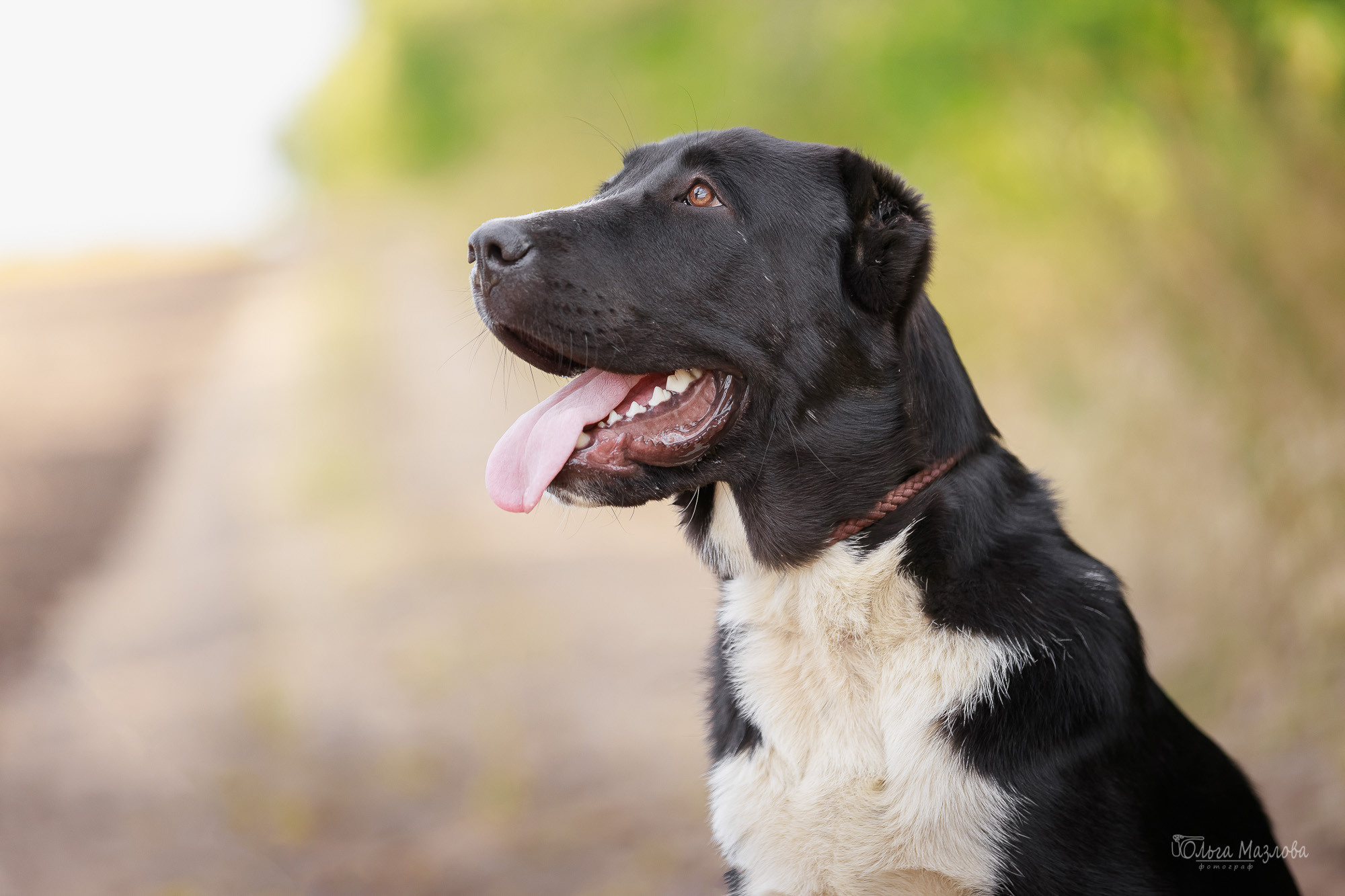 фотограф Саратов