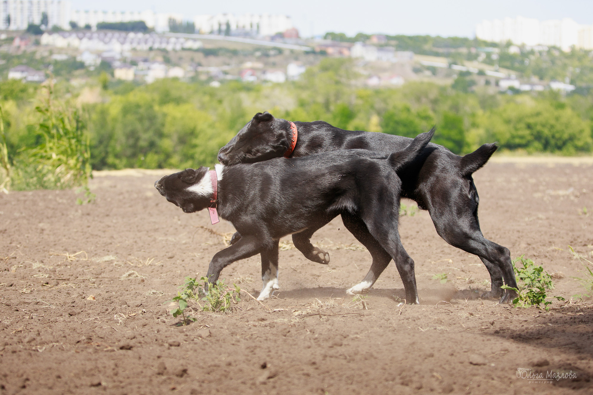 фотосессия Саратов