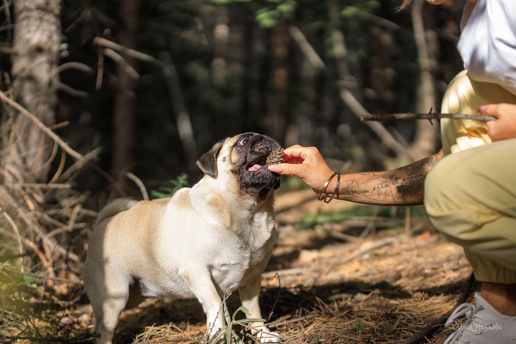 Фотосессия в Саратове. Фотограф в Саратове Ольга Мазлова
