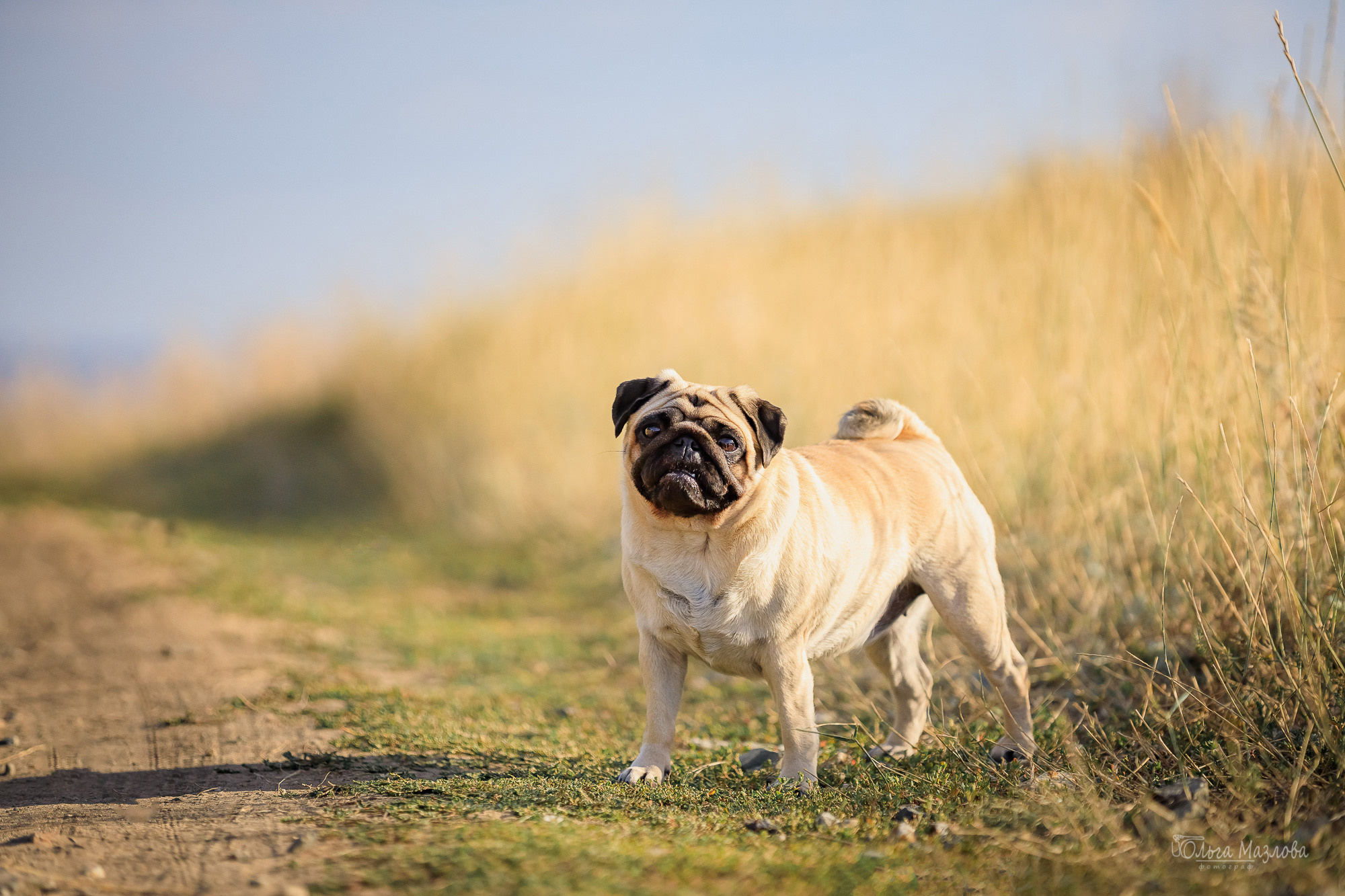 Фотосессия в Саратове. Фотограф в Саратове Ольга Мазлова