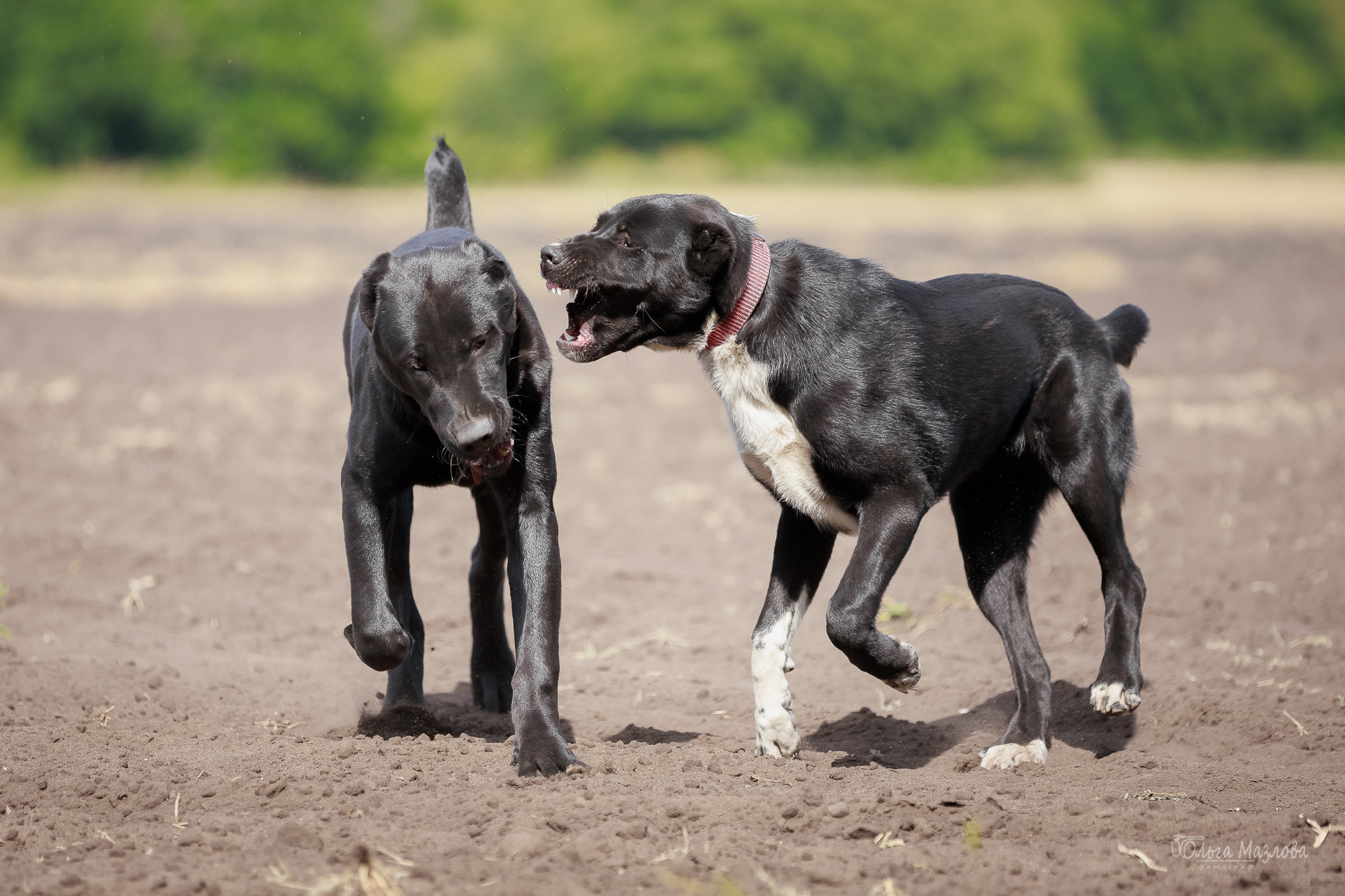 фотограф Саратов