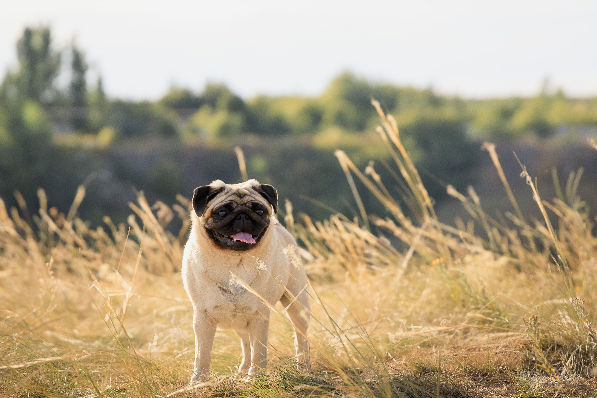 Фотосессия в Саратове. Фотограф в Саратове Ольга Мазлова