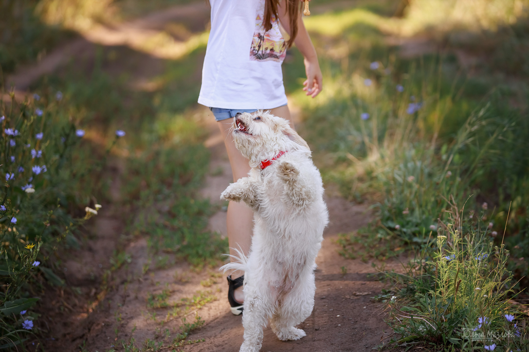 Семейная фотосессия в Саратове. Фотограф в Саратове Ольга Мазлова
