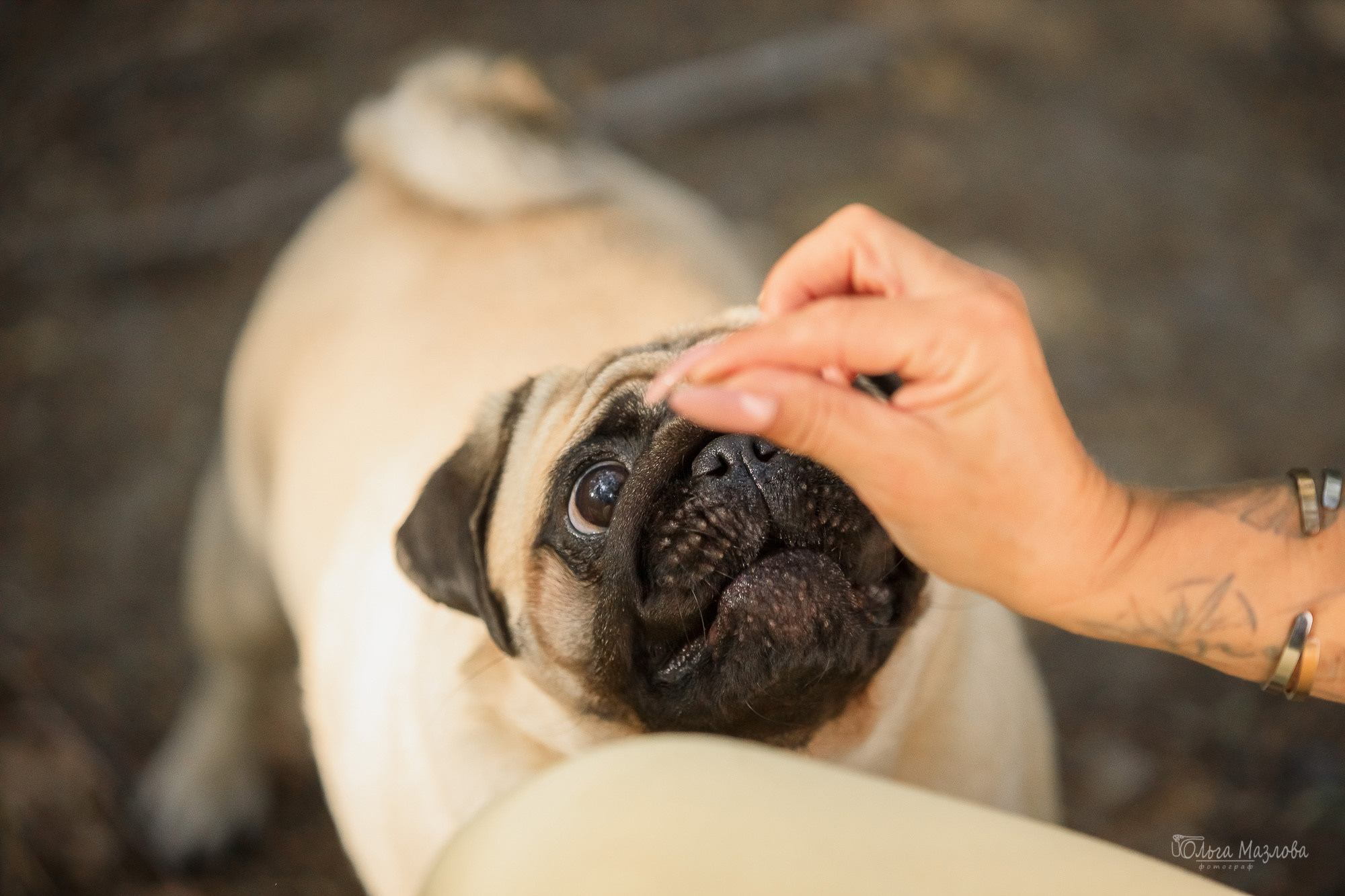 Фотосессия в Саратове. Фотограф в Саратове Ольга Мазлова