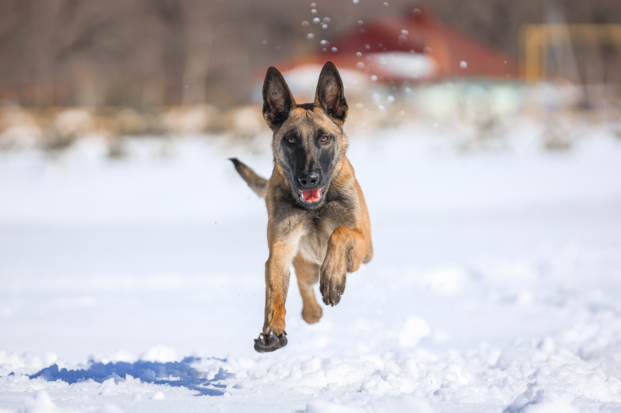 фотограф в Саратове
