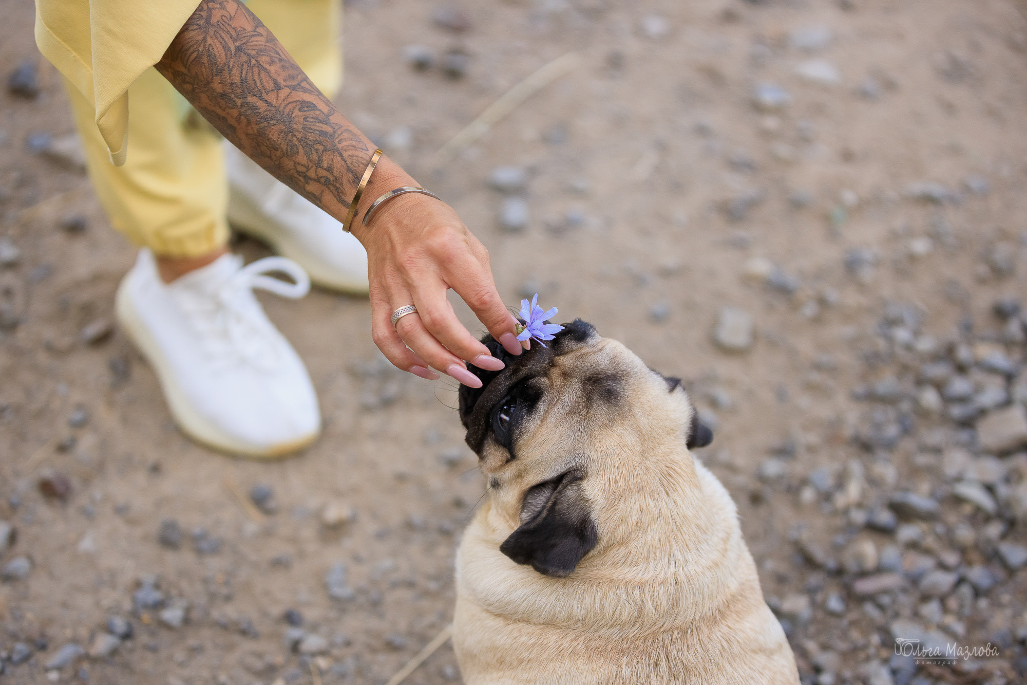 Фотосессия в Саратове. Фотограф в Саратове Ольга Мазлова