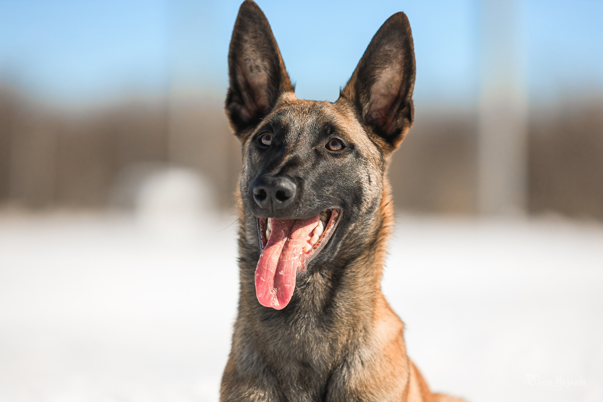 фотограф в Саратове