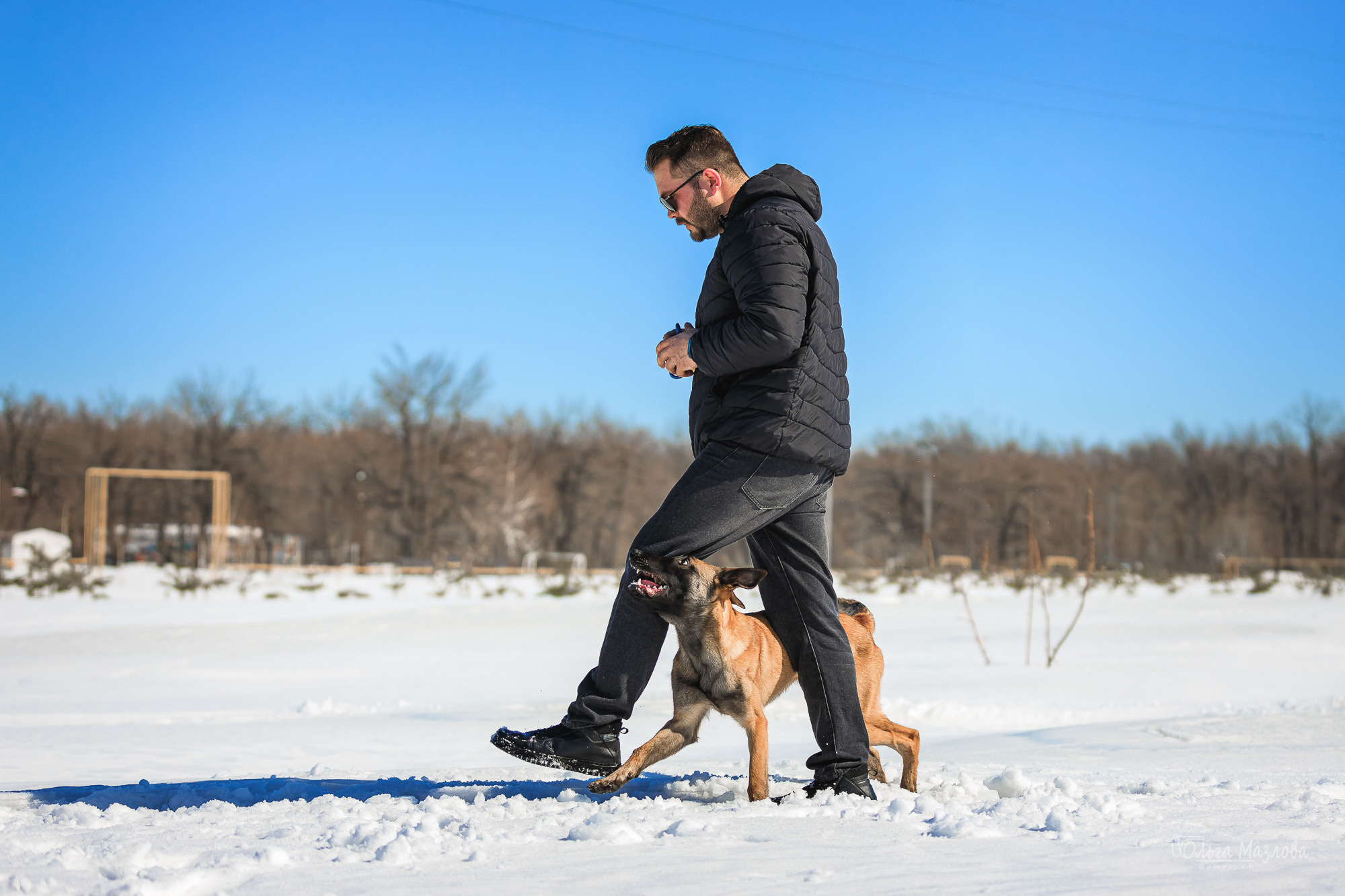 анималист саратов