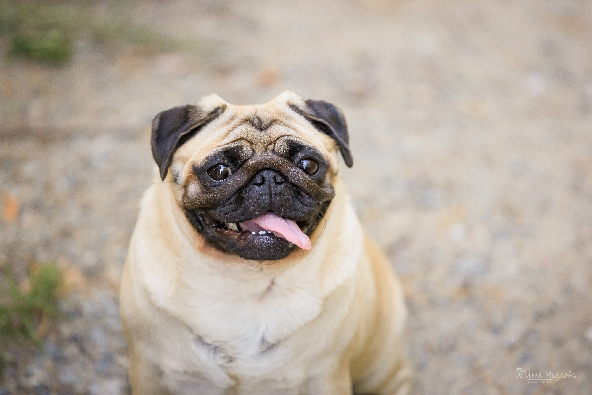 фотосессия в Саратове