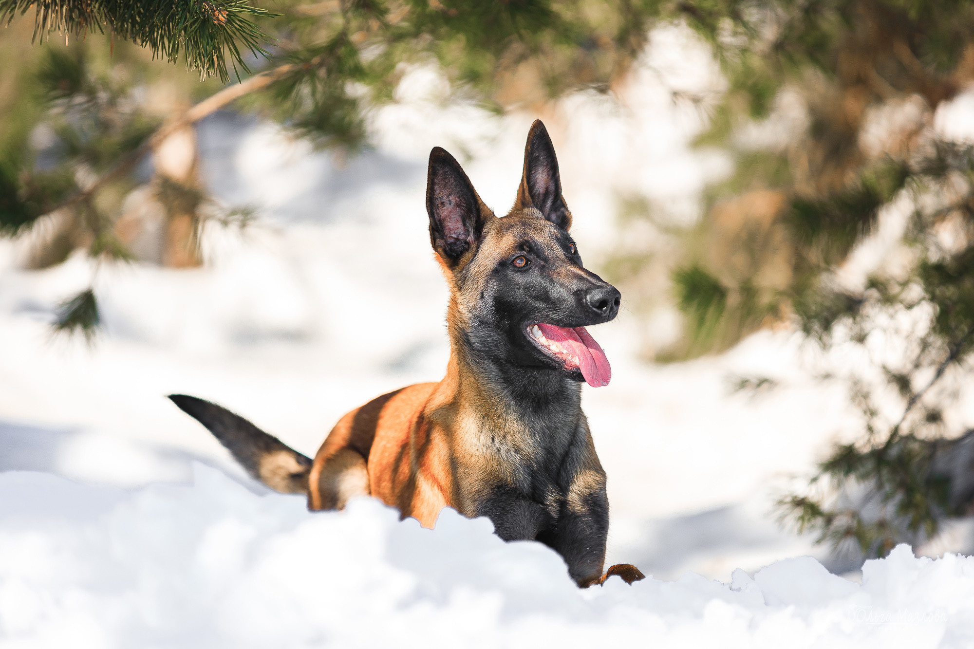 фотограф в Саратове