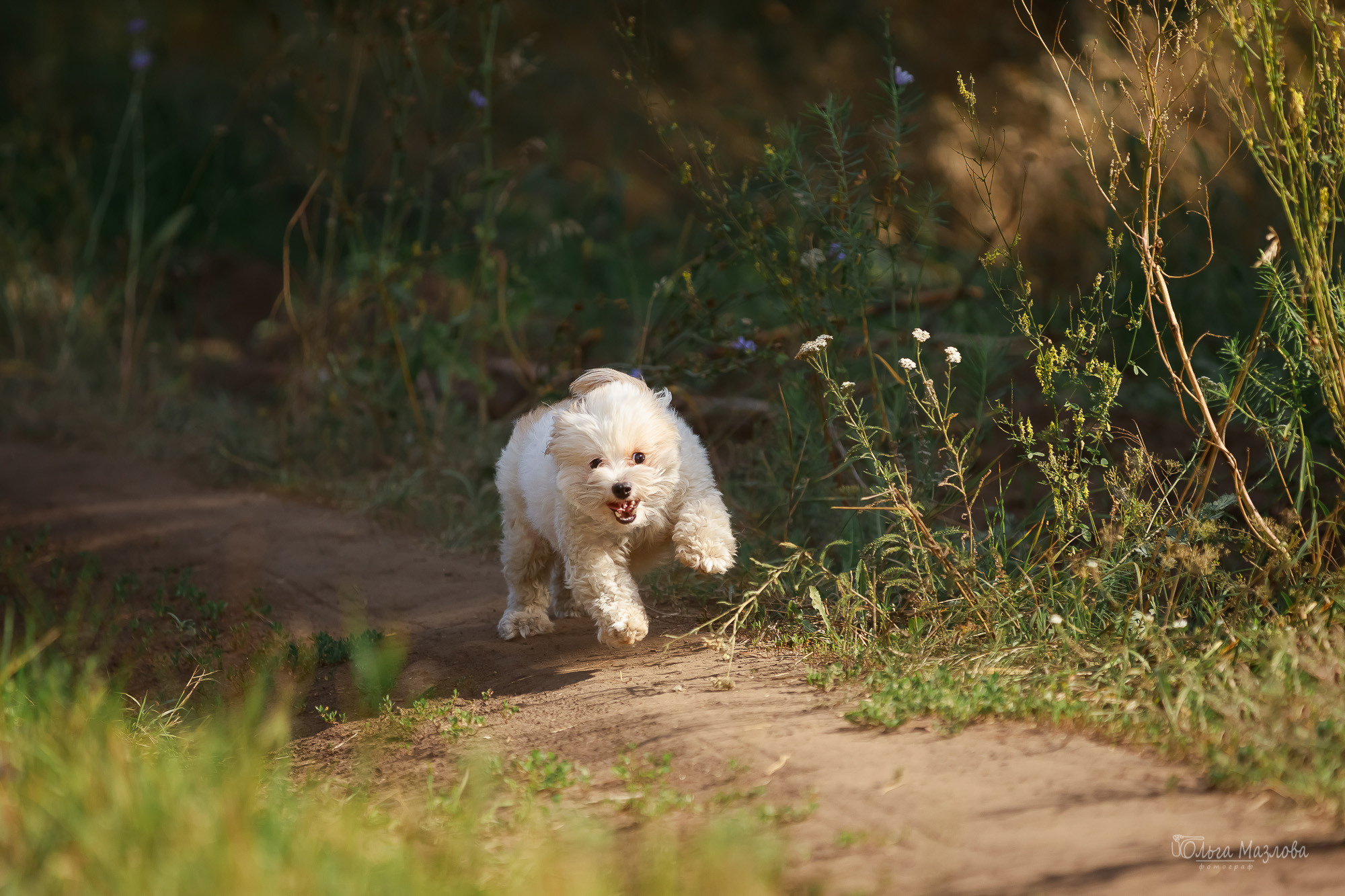 Семейная фотосессия в Саратове. Фотограф в Саратове Ольга Мазлова