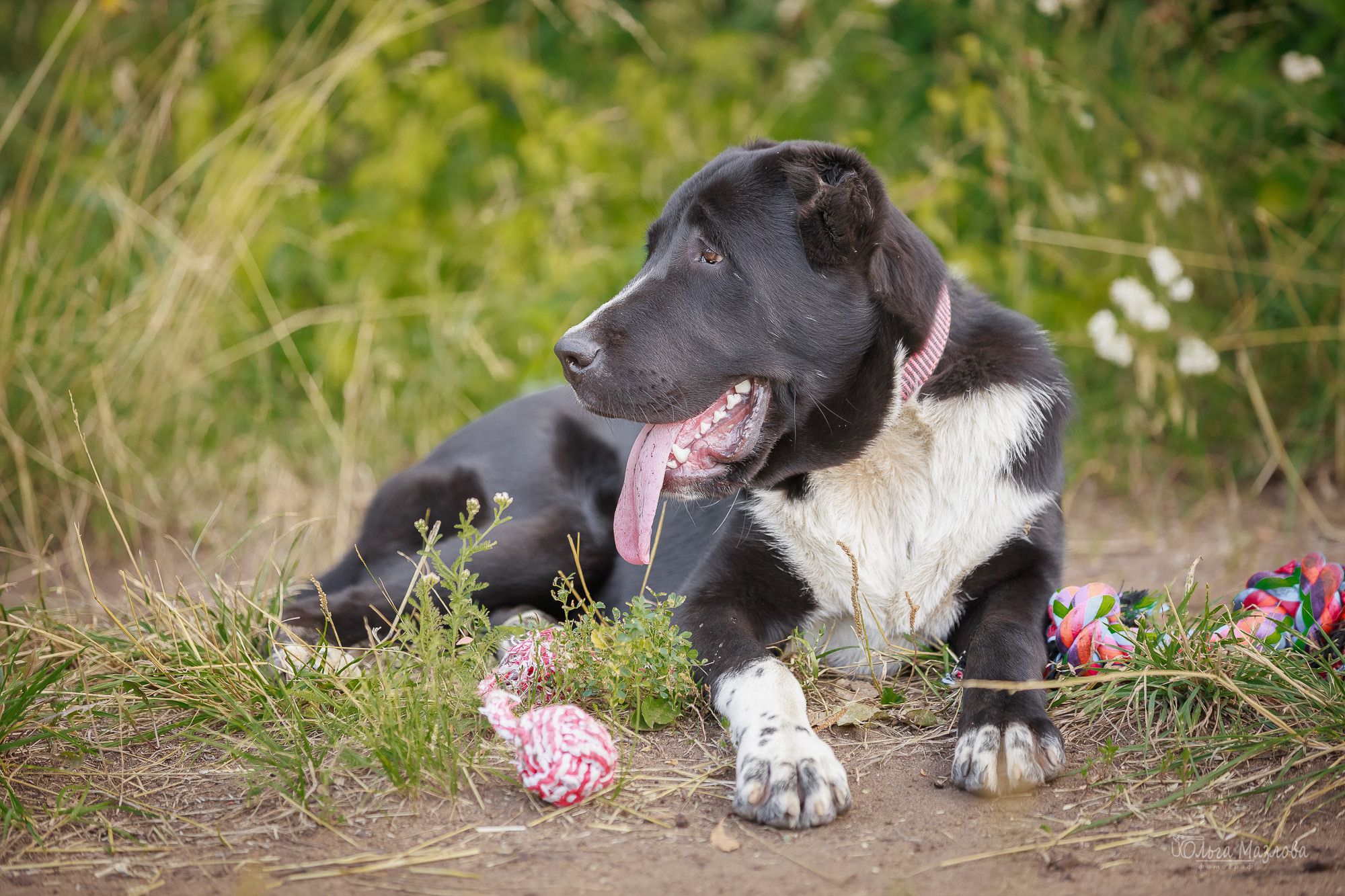 Фотосессия Азима и Евы. Фотограф в Саратове Ольга Мазлова