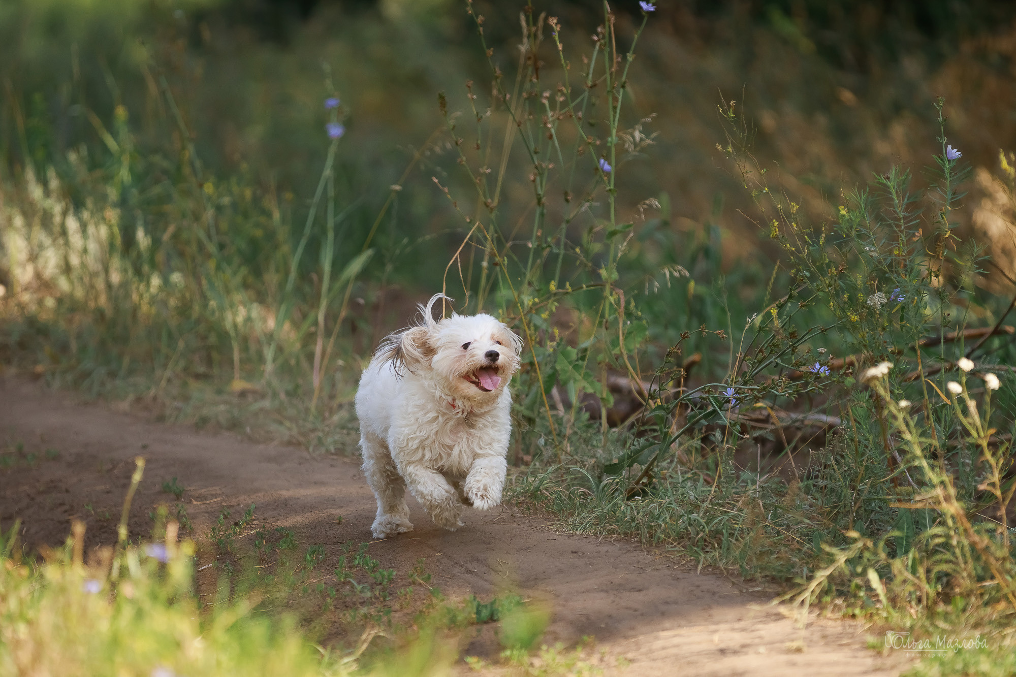 Семейная фотосессия в Саратове. Фотограф в Саратове Ольга Мазлова