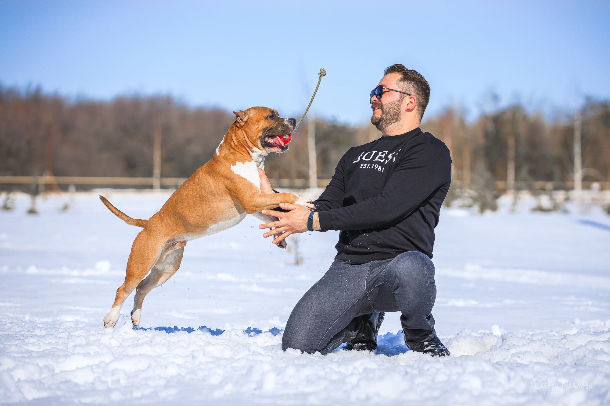 фотограф-анималист Саратов