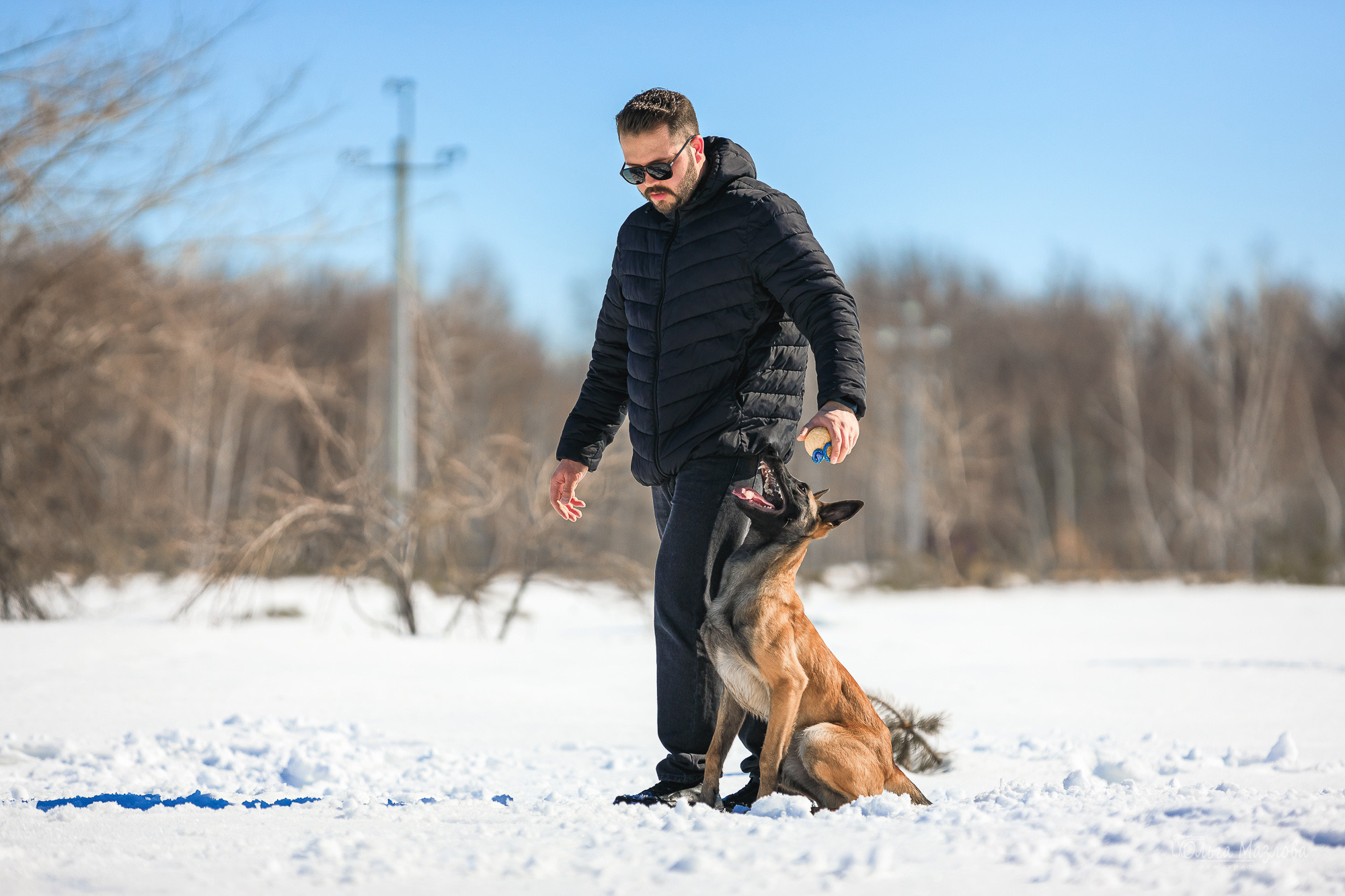 Нариман, Клаус и Дейл. Фотосъемка с животными в марте. Фотограф в Саратове Ольга Мазлова